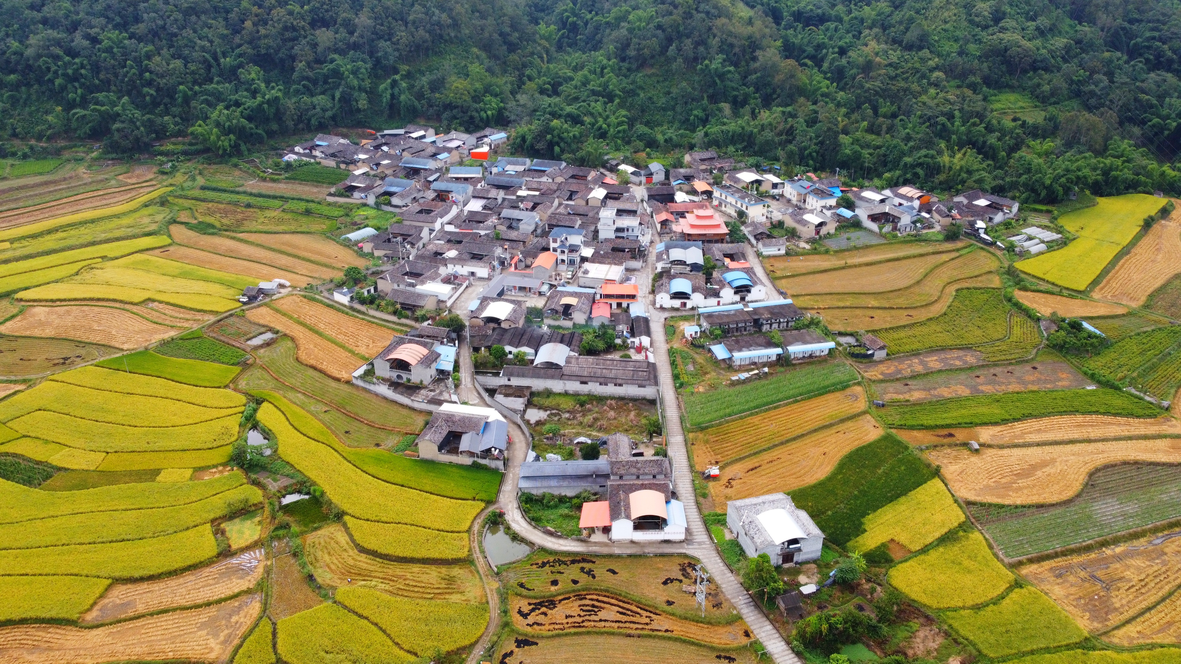 【民族团结进步看德宏】帮盖村：美丽傣乡绽放民族团结进步之花