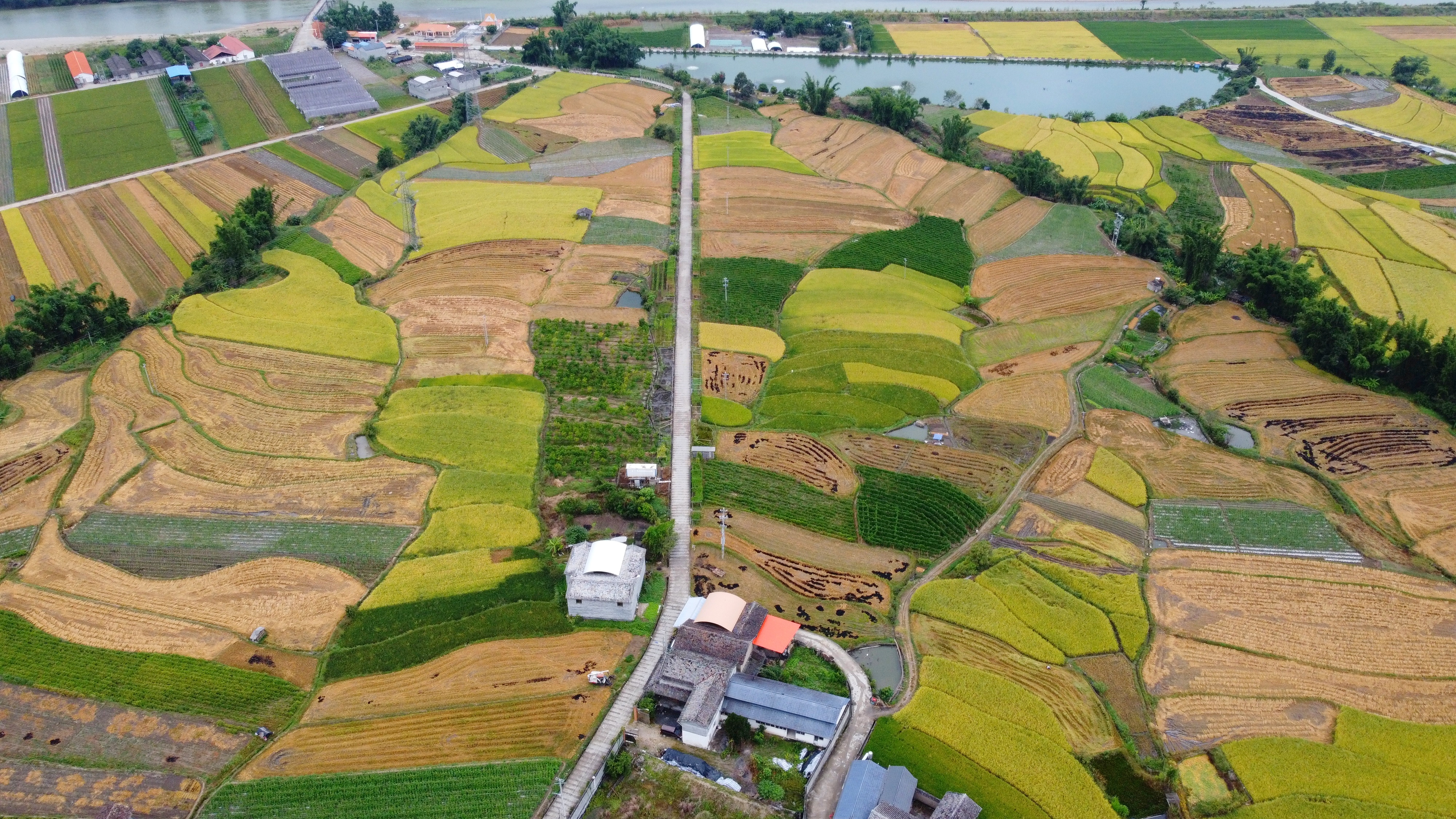 【民族团结进步看德宏】帮盖村：美丽傣乡绽放民族团结进步之花