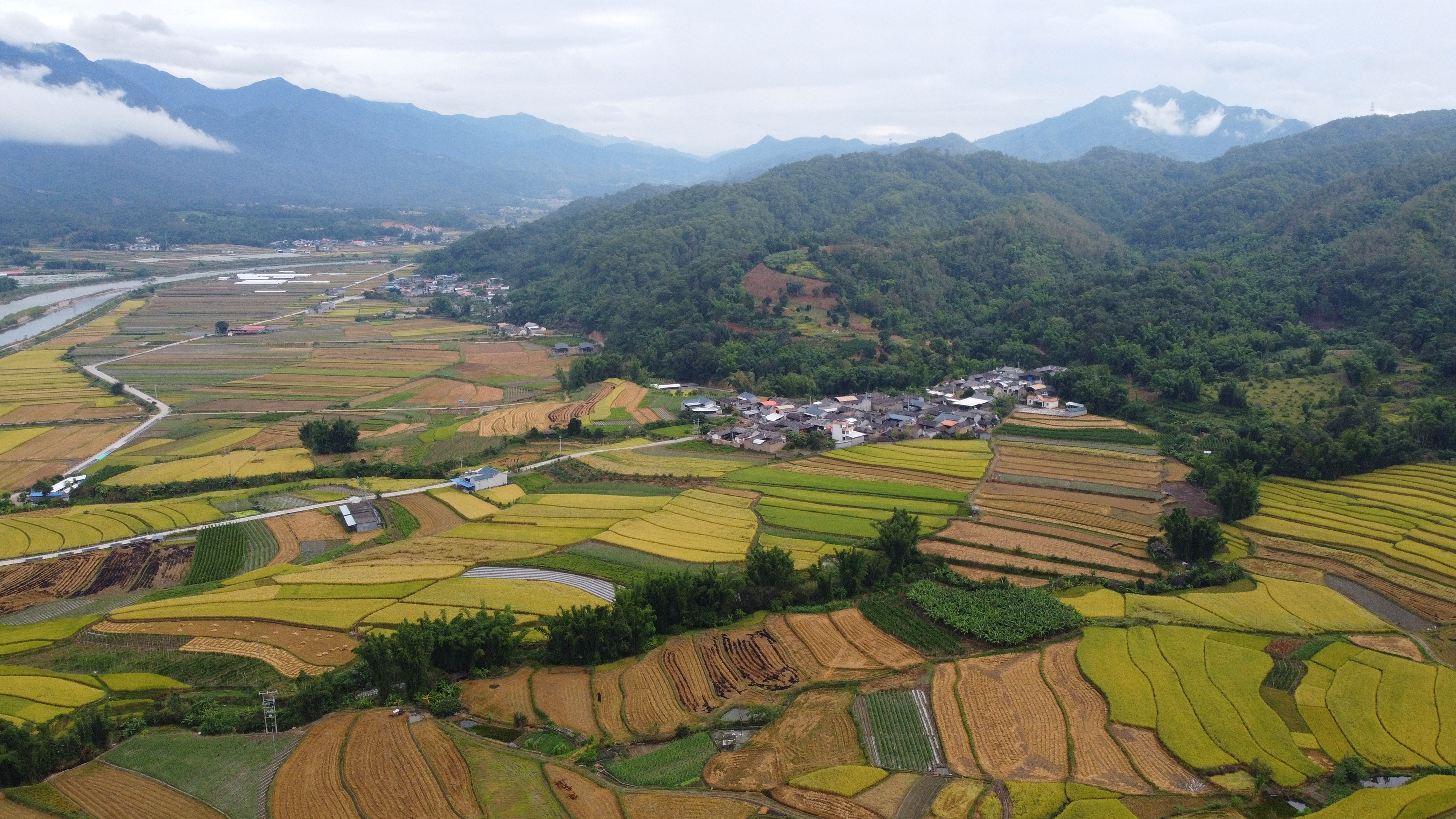 【民族团结进步看德宏】帮盖村：美丽傣乡绽放民族团结进步之花