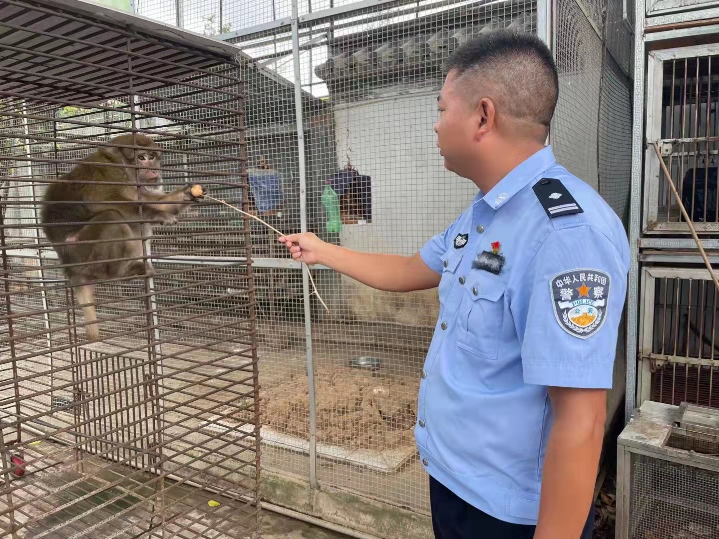 【民族团结进步看德宏】做民族地区忠诚“森林卫士” 守护梁河“绿水青山”