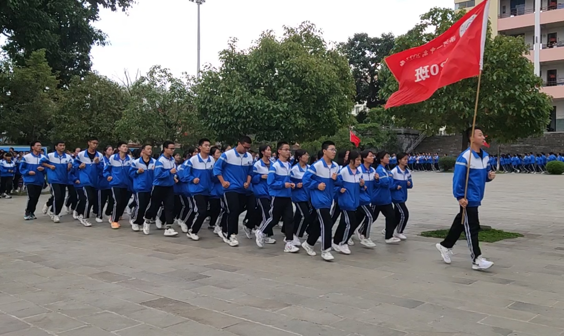 边疆教育上盛开的山茶花    3.jpg