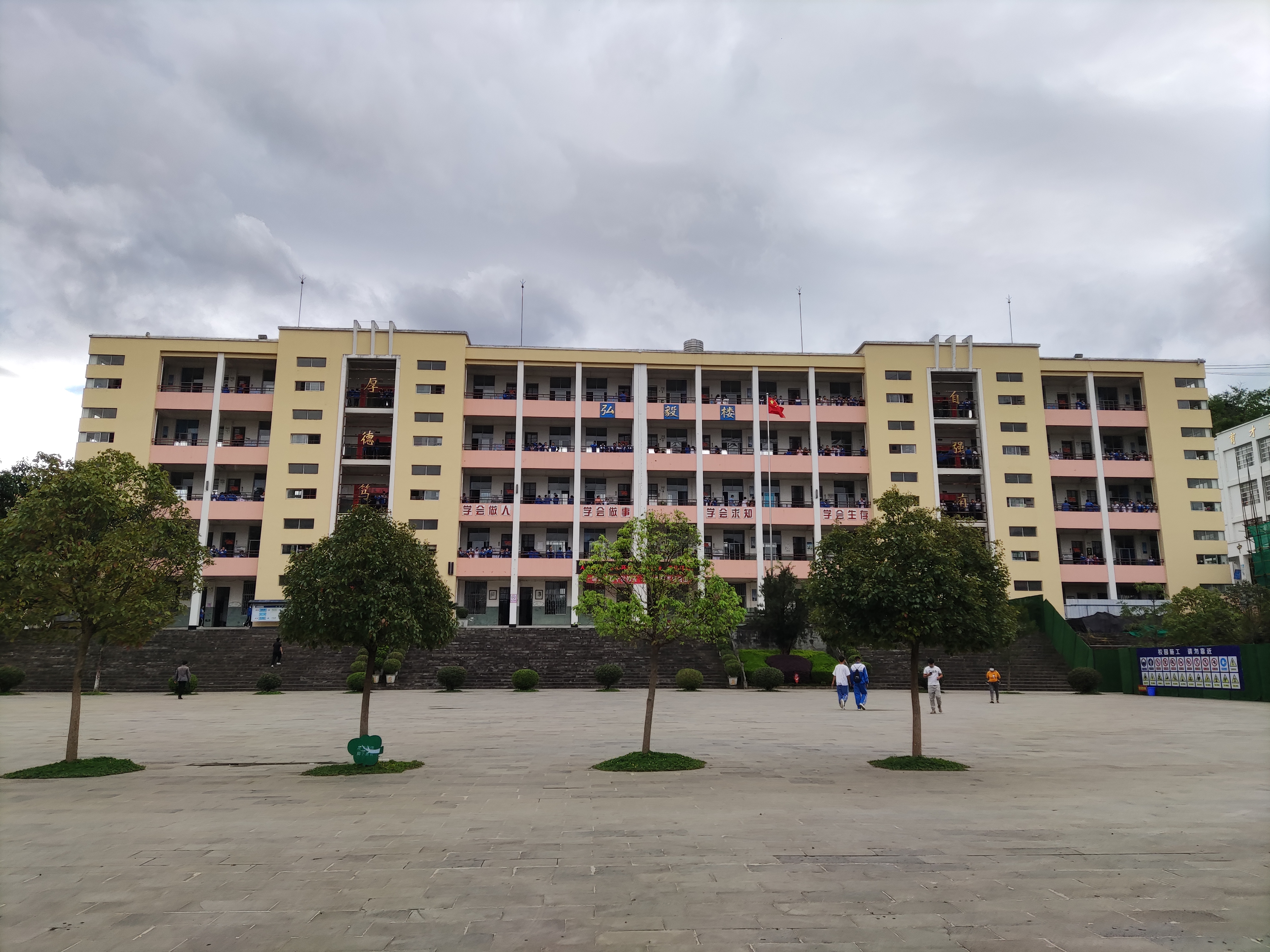 边疆教育上盛开的山茶花    2.jpg