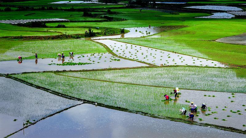 【民族团结进步看德宏】万象盈江 谱写民族团结进步壮丽篇章