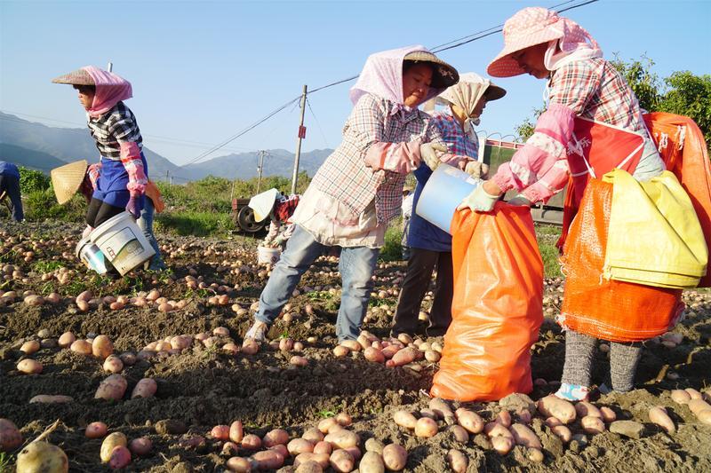 【民族团结进步看德宏】万象盈江 谱写民族团结进步壮丽篇章