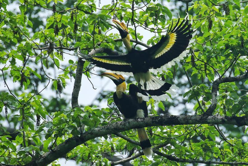 盈江以交往交流交融铸牢中华民族共同体意识的社会基础