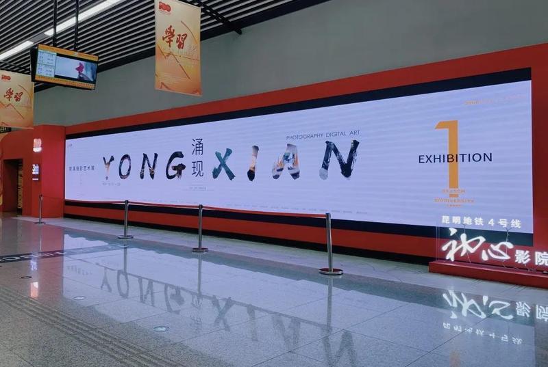 云师大老师在德宏首次拍摄到长颈象鼻虫（供图）