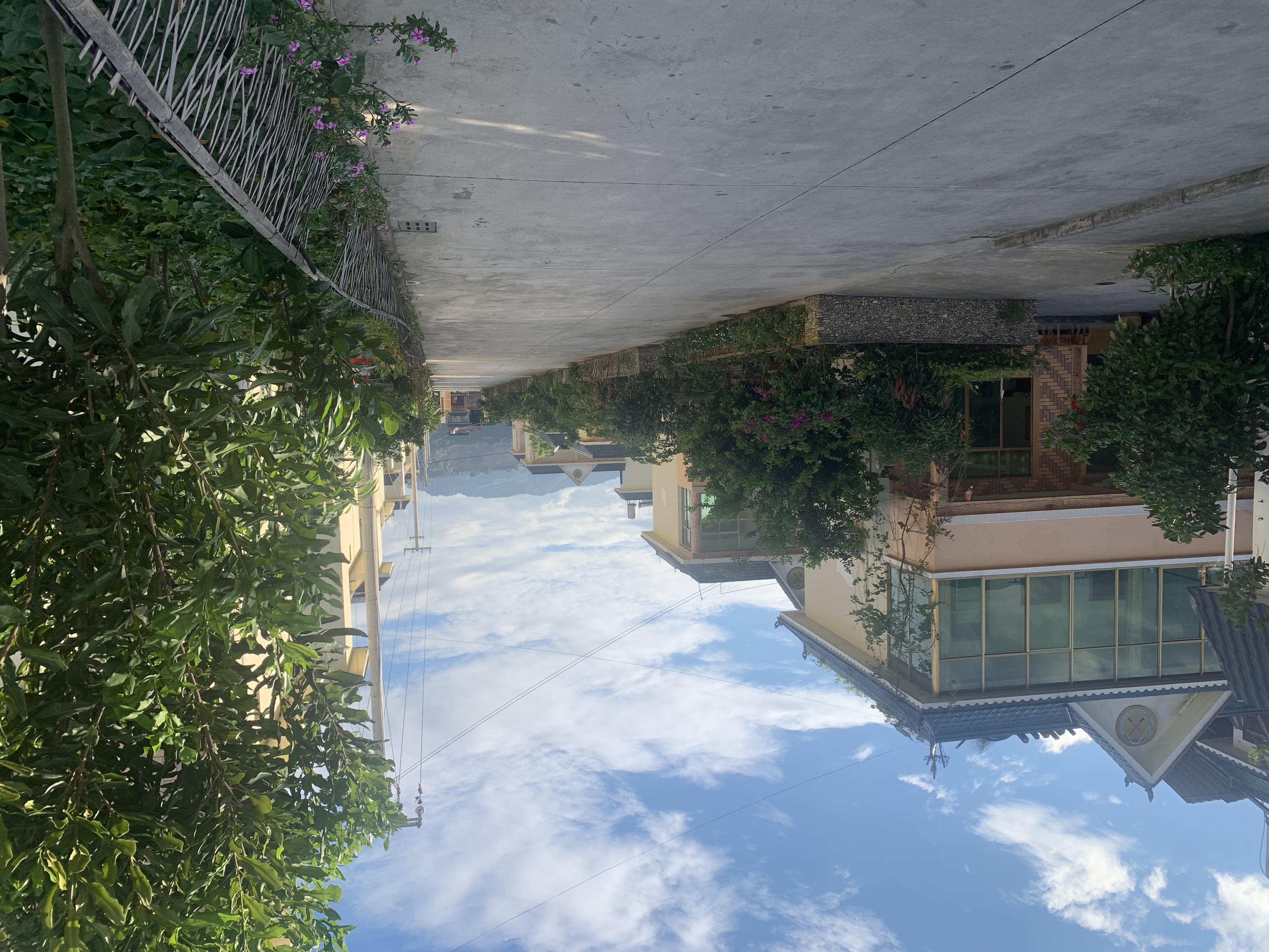 永远跟党走 景颇群众过上幸福新生活3.jpg