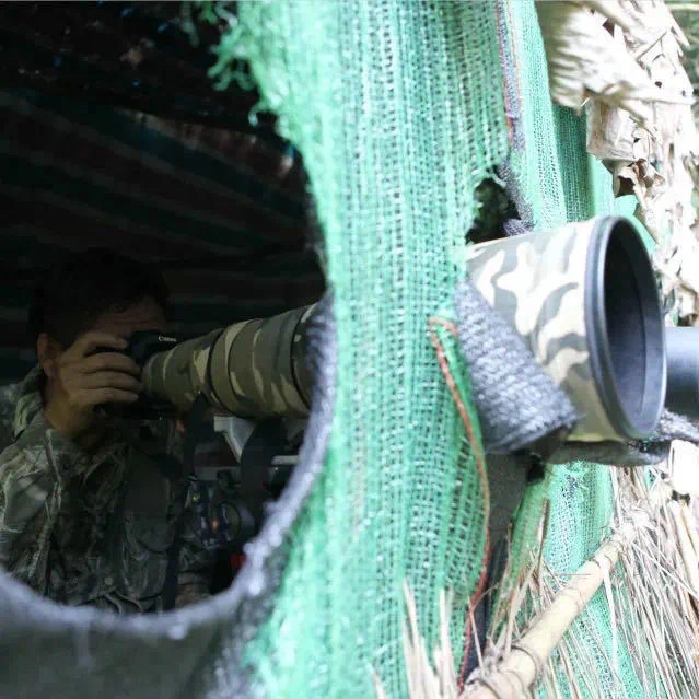 “鸟塘经济”兴起，西双版纳这个县成拍鸟摄影师打卡地！ 供图