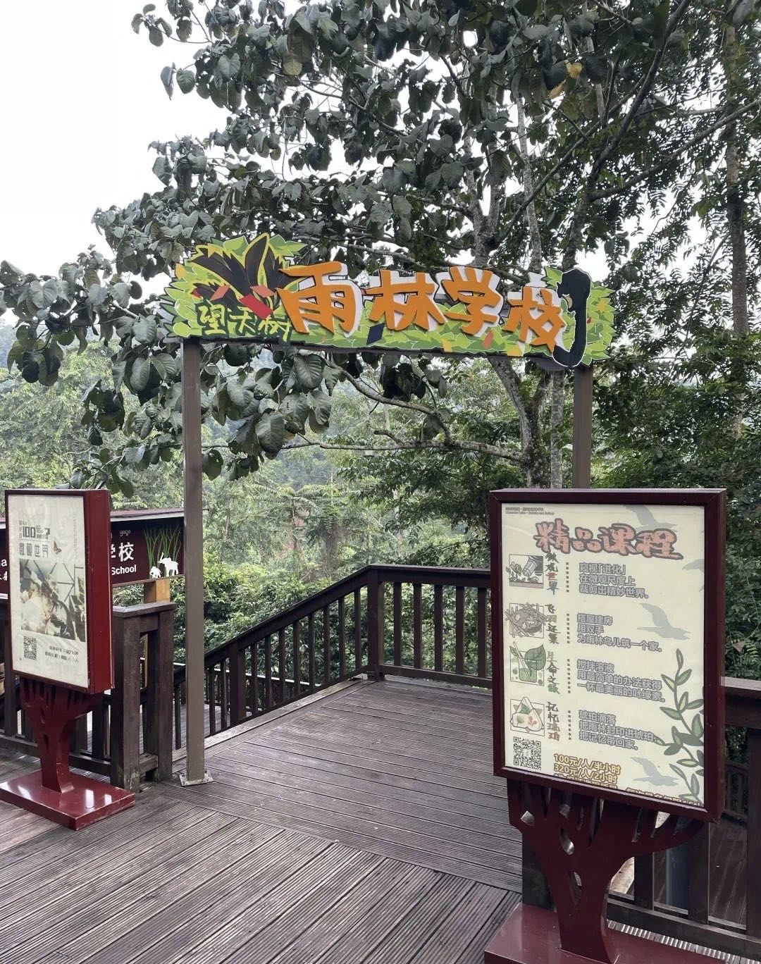 “鸟塘经济”兴起，西双版纳这个县成拍鸟摄影师打卡地！ 供图