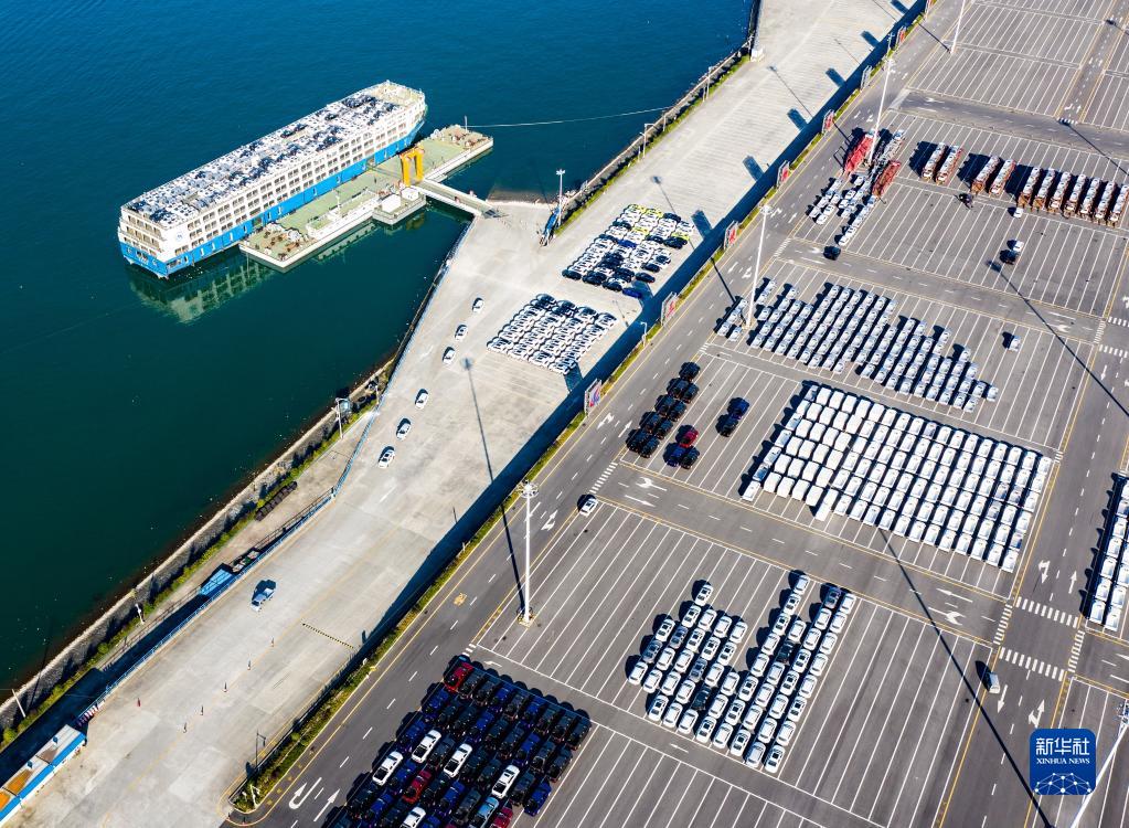 谋划推动长江经济带发展谱写新篇章 新华社6.jpg