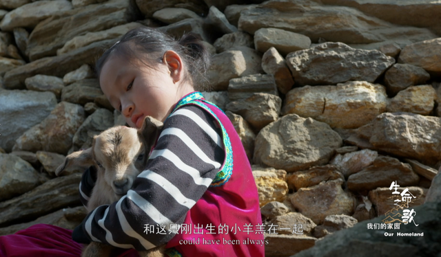 《生命之歌·我们的家园》完整版 云南广播电视台3.png