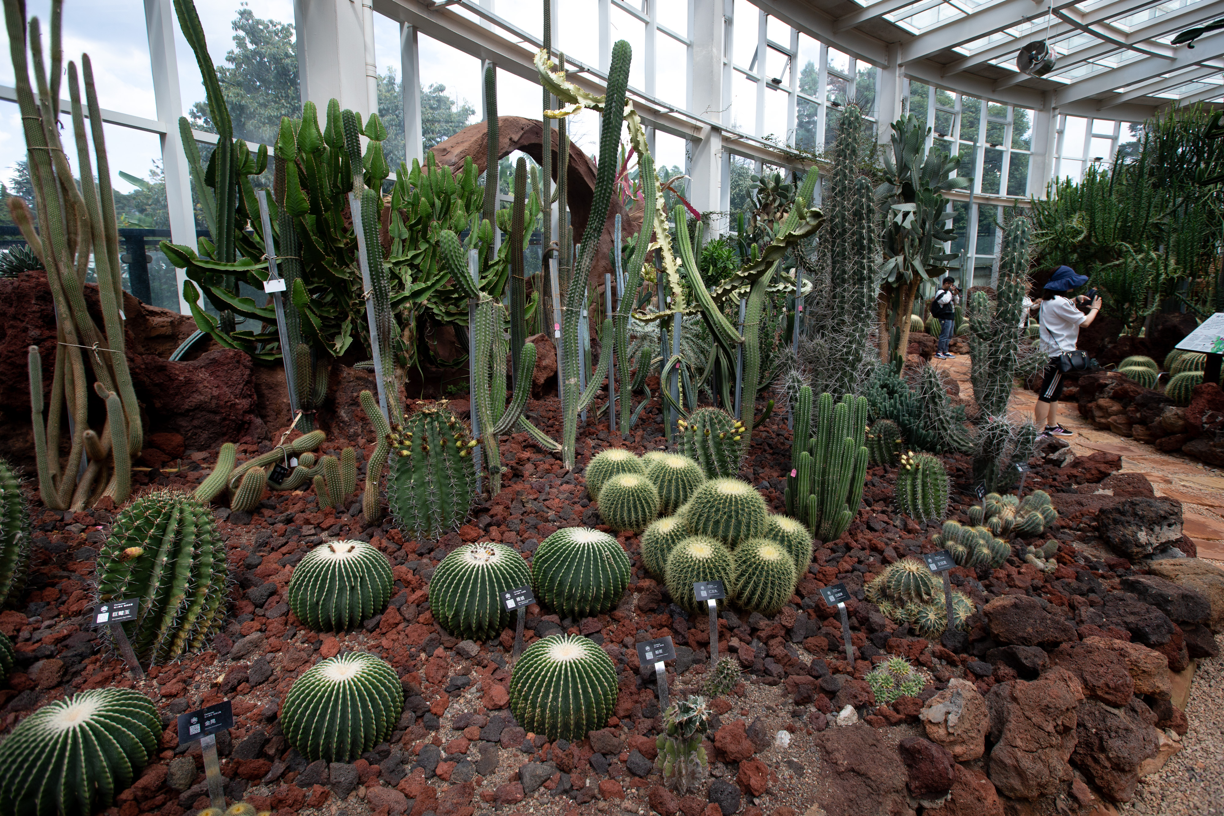 扶荔宫和宝丰湿地即将对公众开放（高伟 摄）