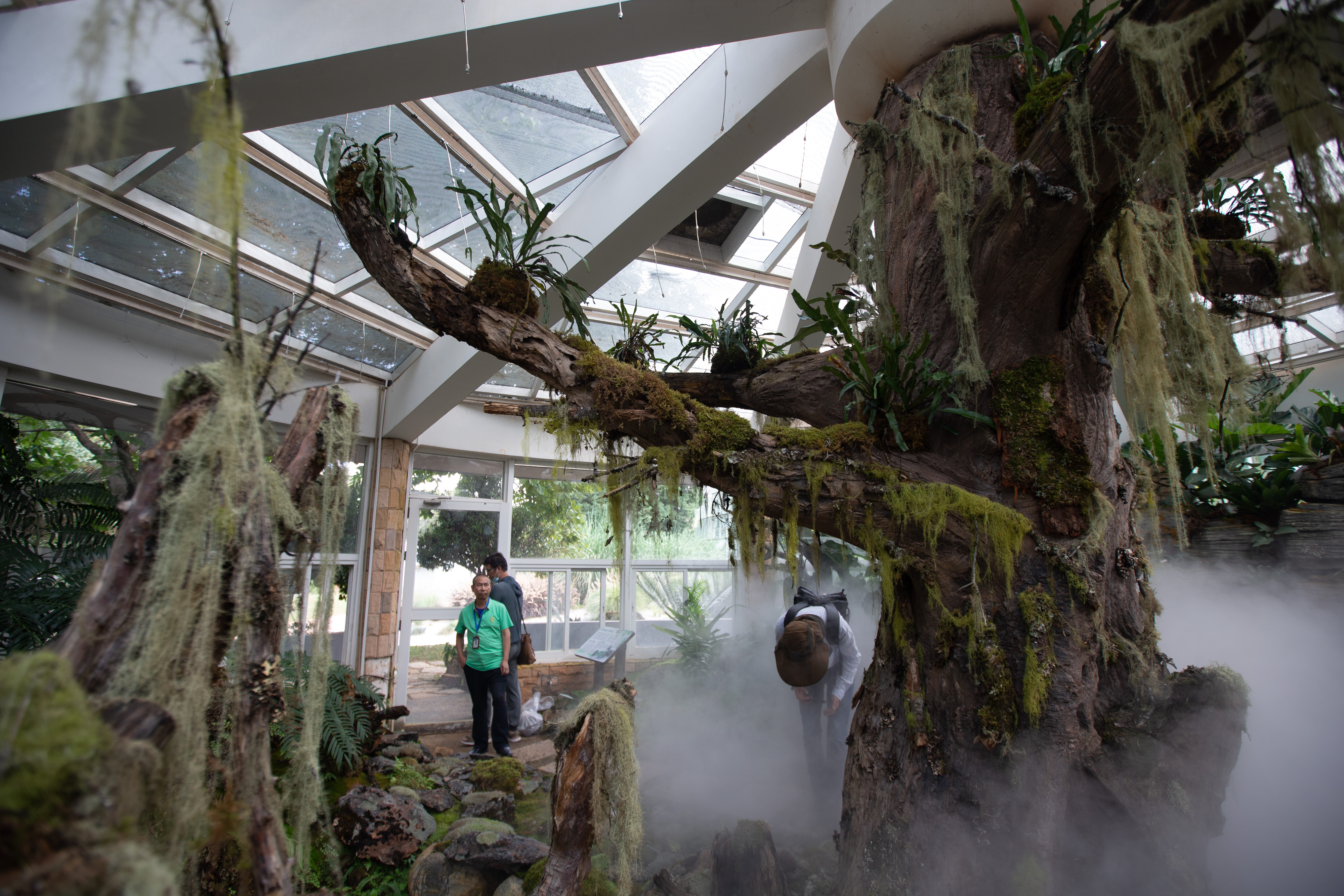 扶荔宫和宝丰湿地即将对公众开放（高伟 摄）