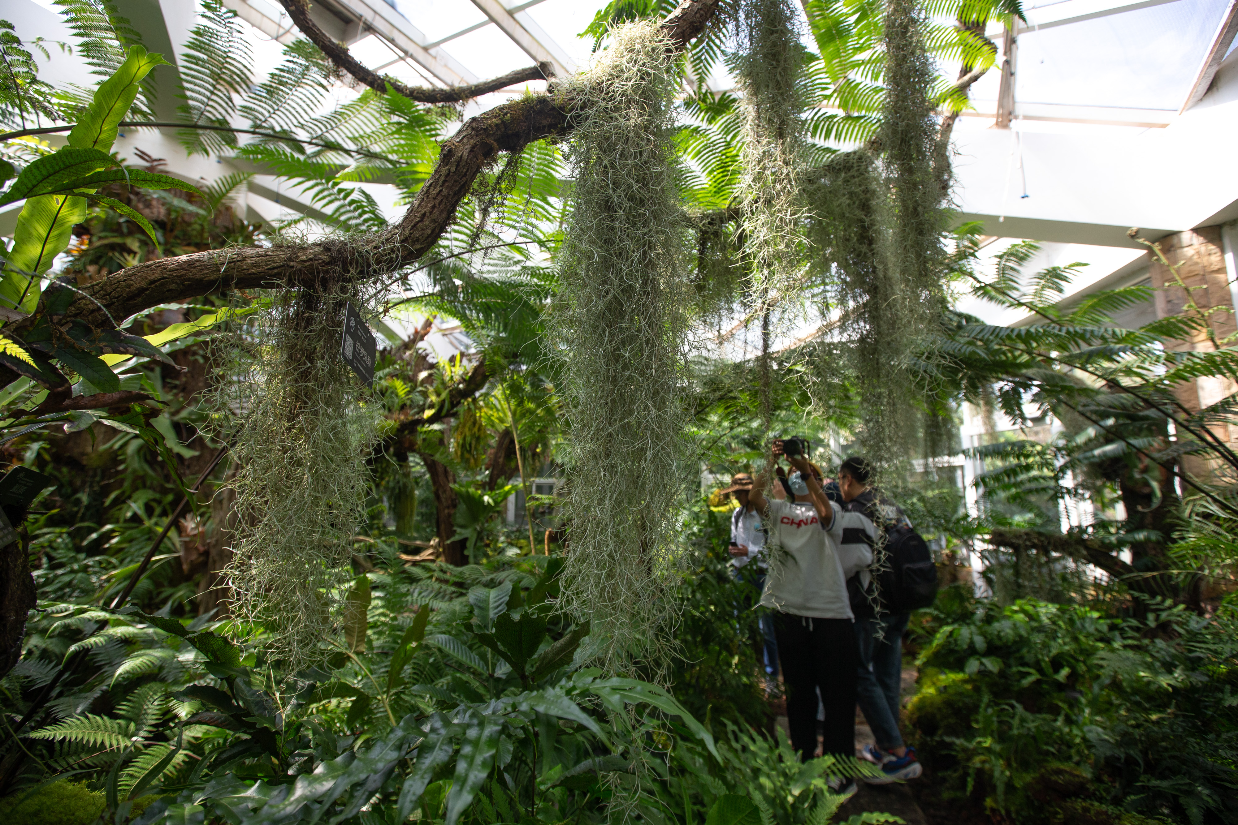 扶荔宫和宝丰湿地即将对公众开放（高伟 摄）