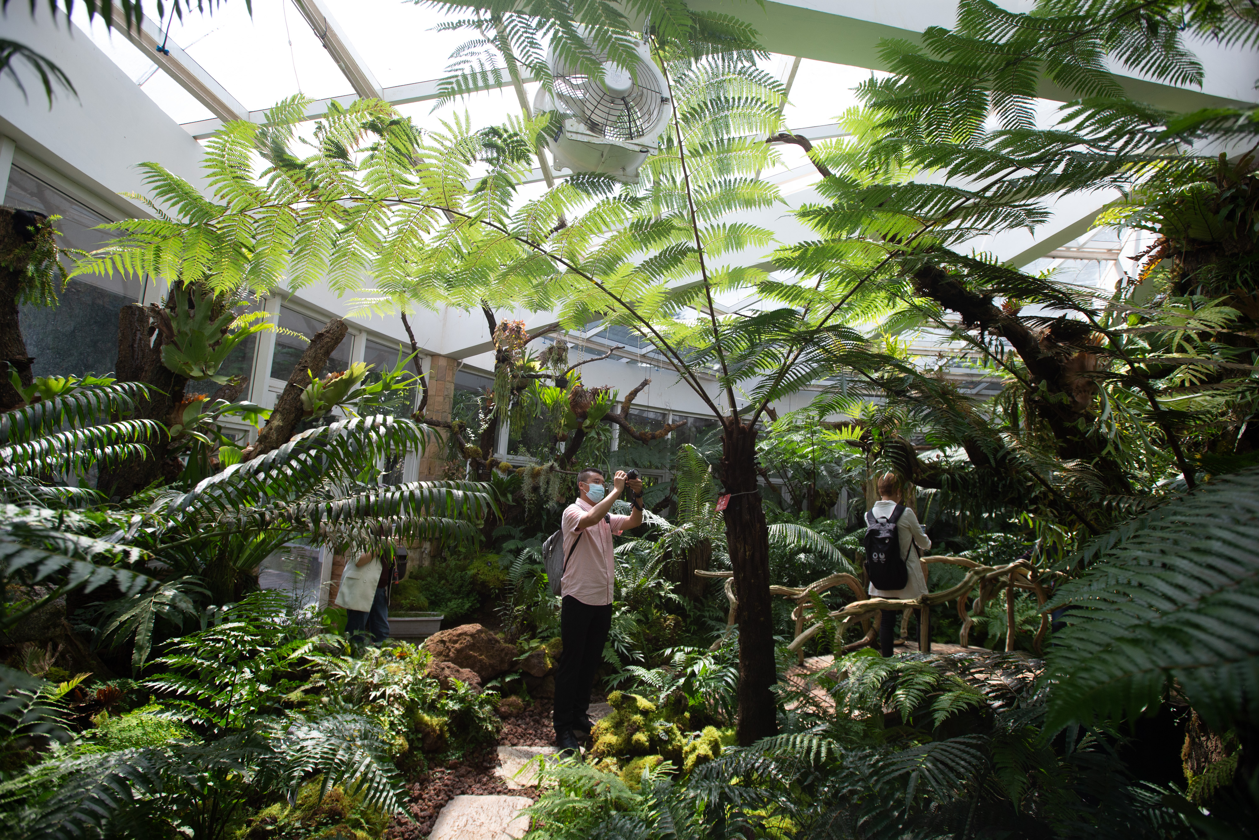 扶荔宫和宝丰湿地即将对公众开放（高伟 摄）