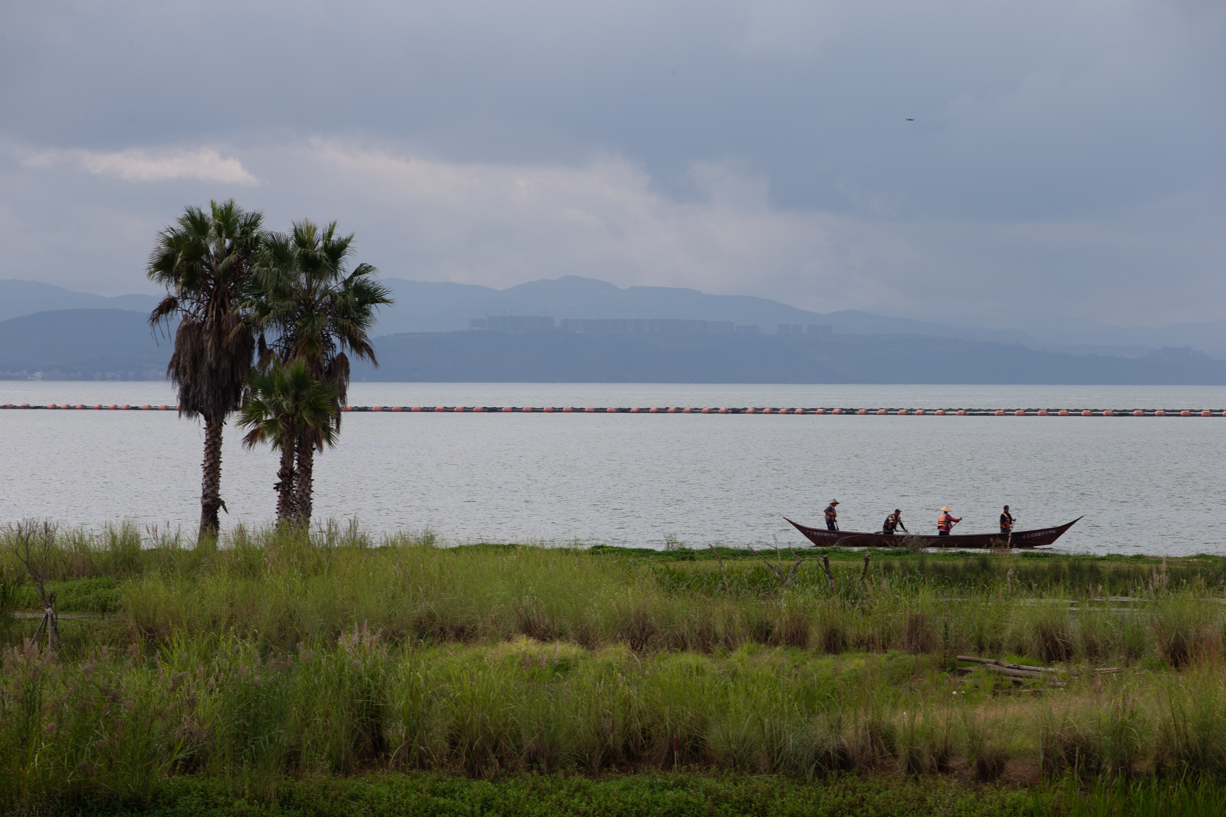 扶荔宫和宝丰湿地即将对公众开放（高伟 摄）