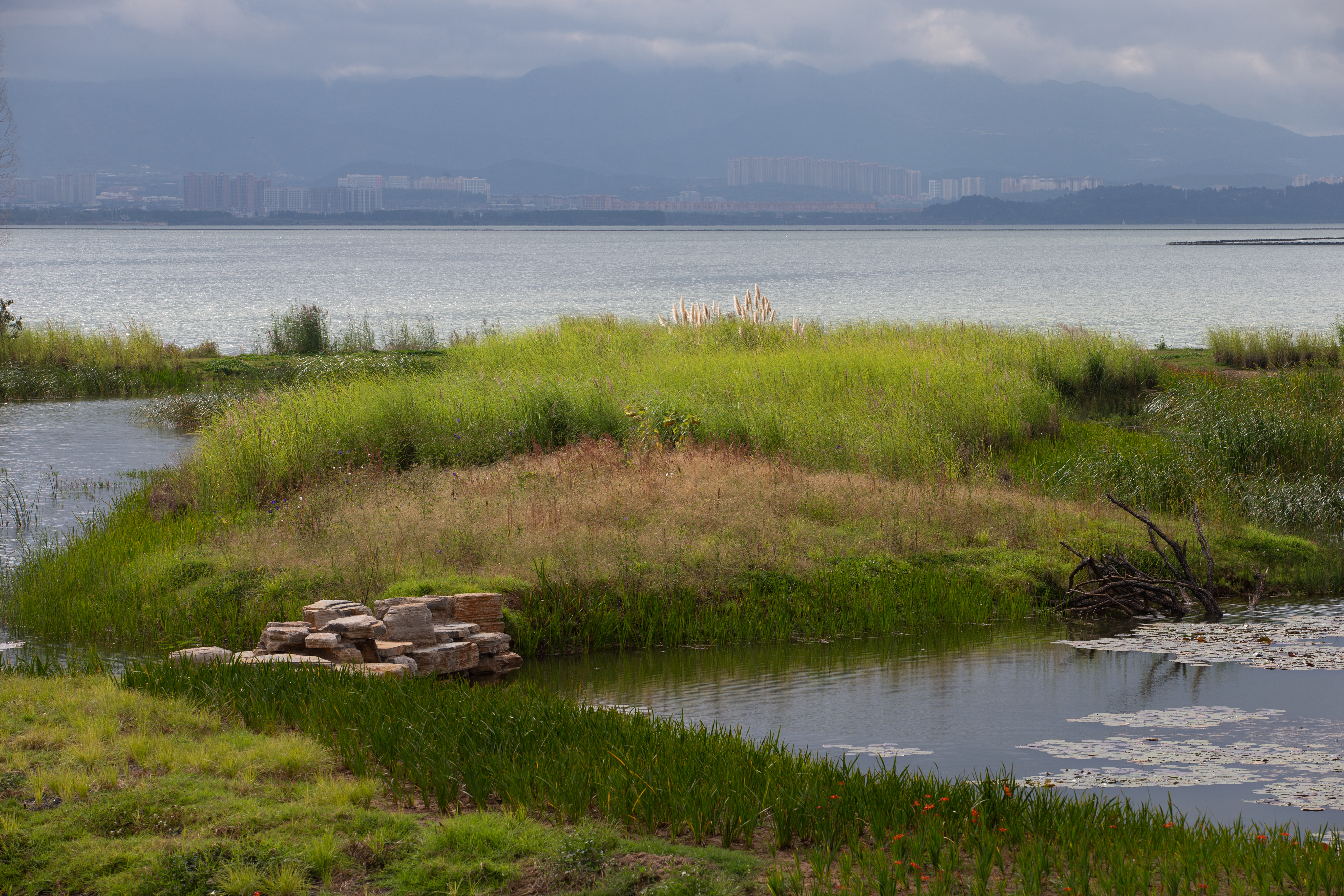 扶荔宫和宝丰湿地即将对公众开放（高伟 摄）
