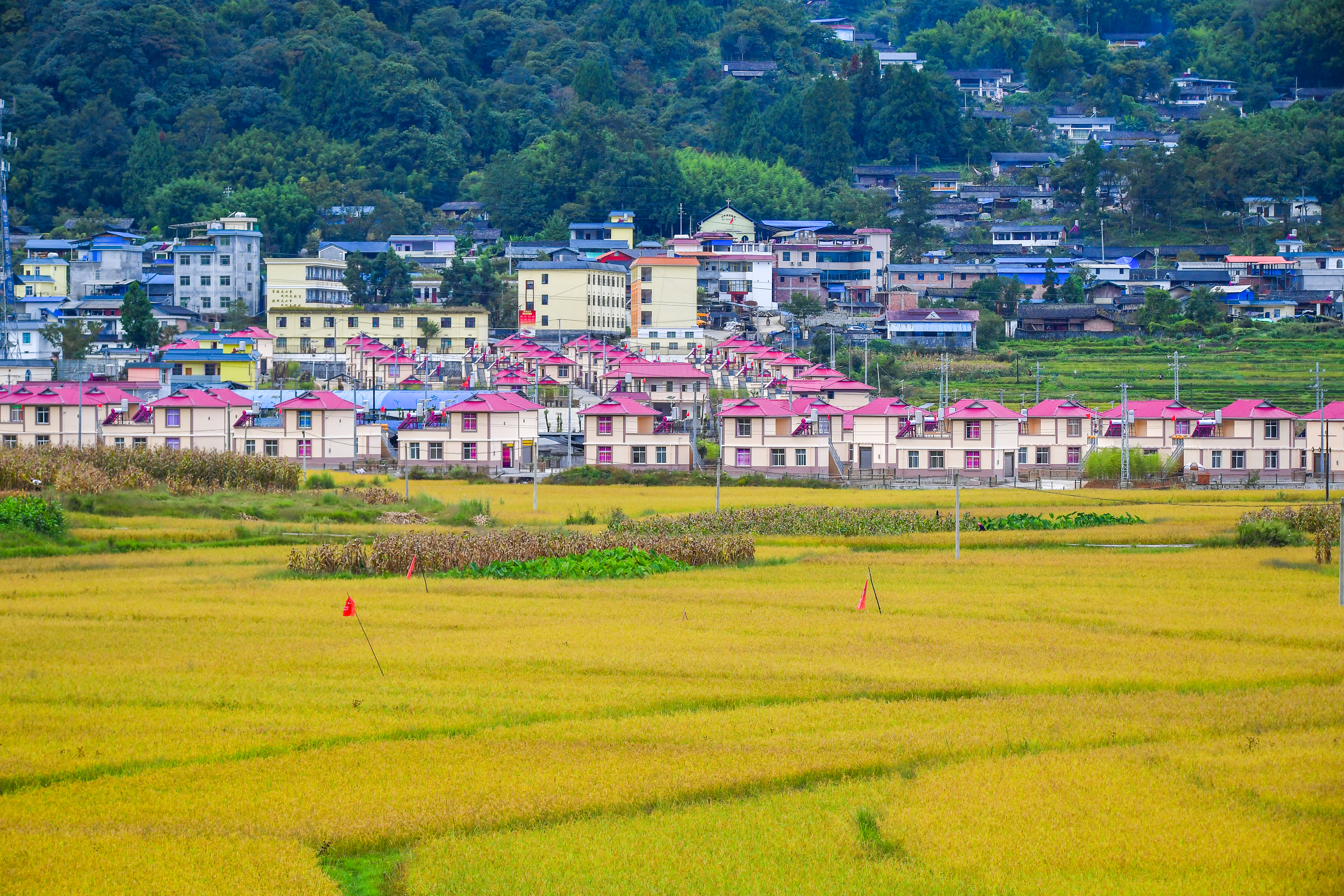 盈江苏典乡 五朵“团结花” 绘就幸福新画卷1.jpg