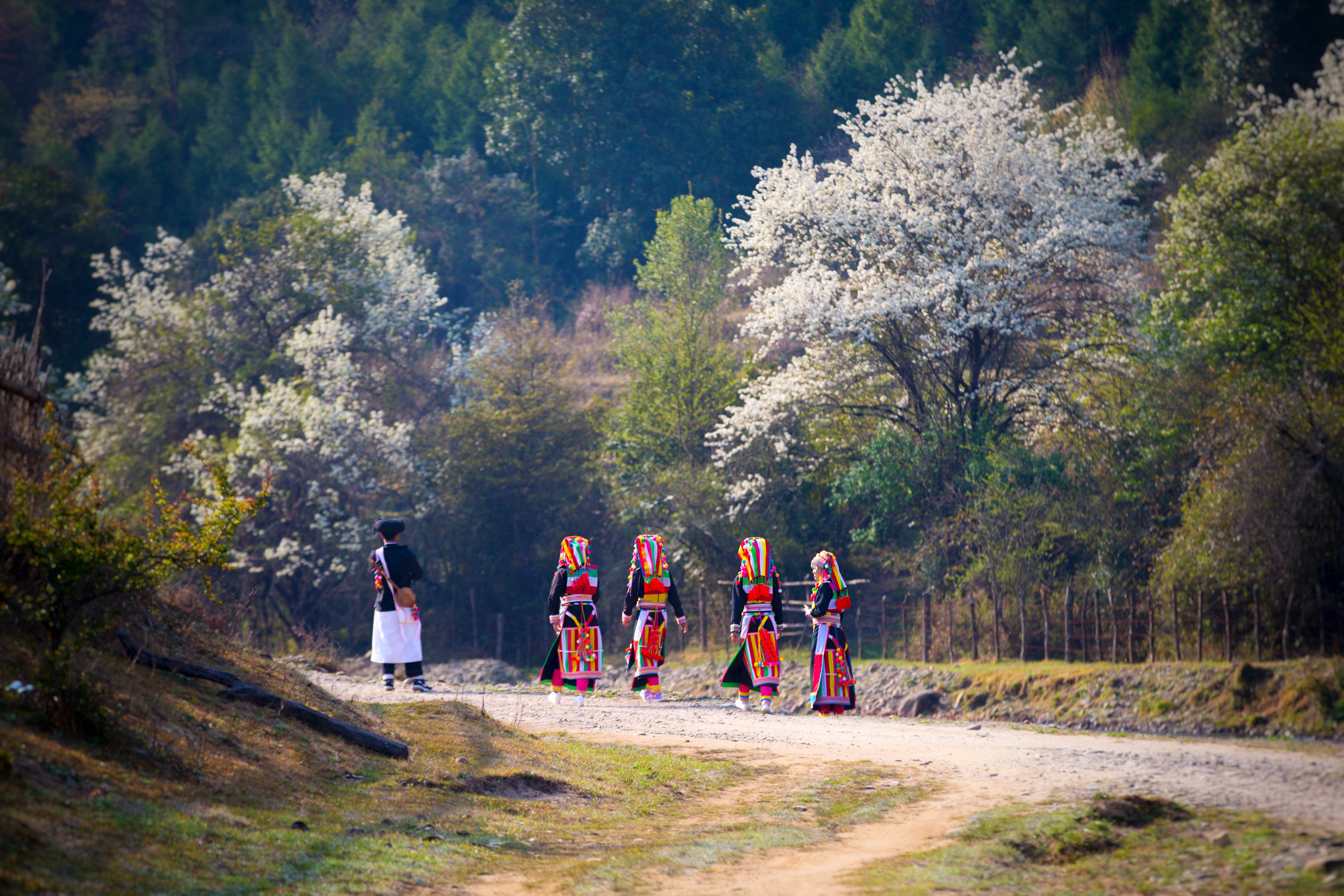 盈江苏典乡 五朵“团结花” 绘就幸福新画卷5.jpg