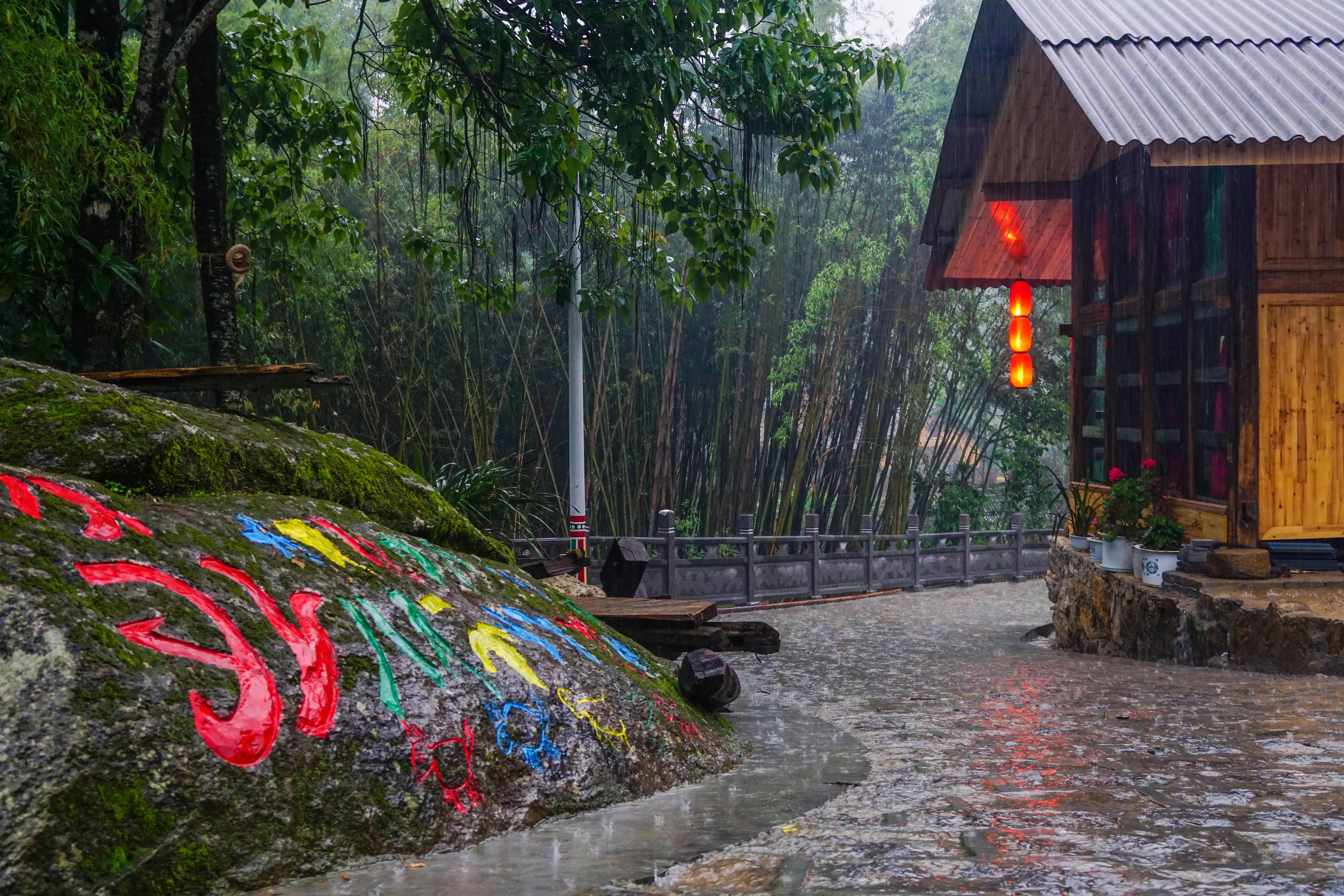 盈江苏典乡 五朵“团结花” 绘就幸福新画卷6.jpg