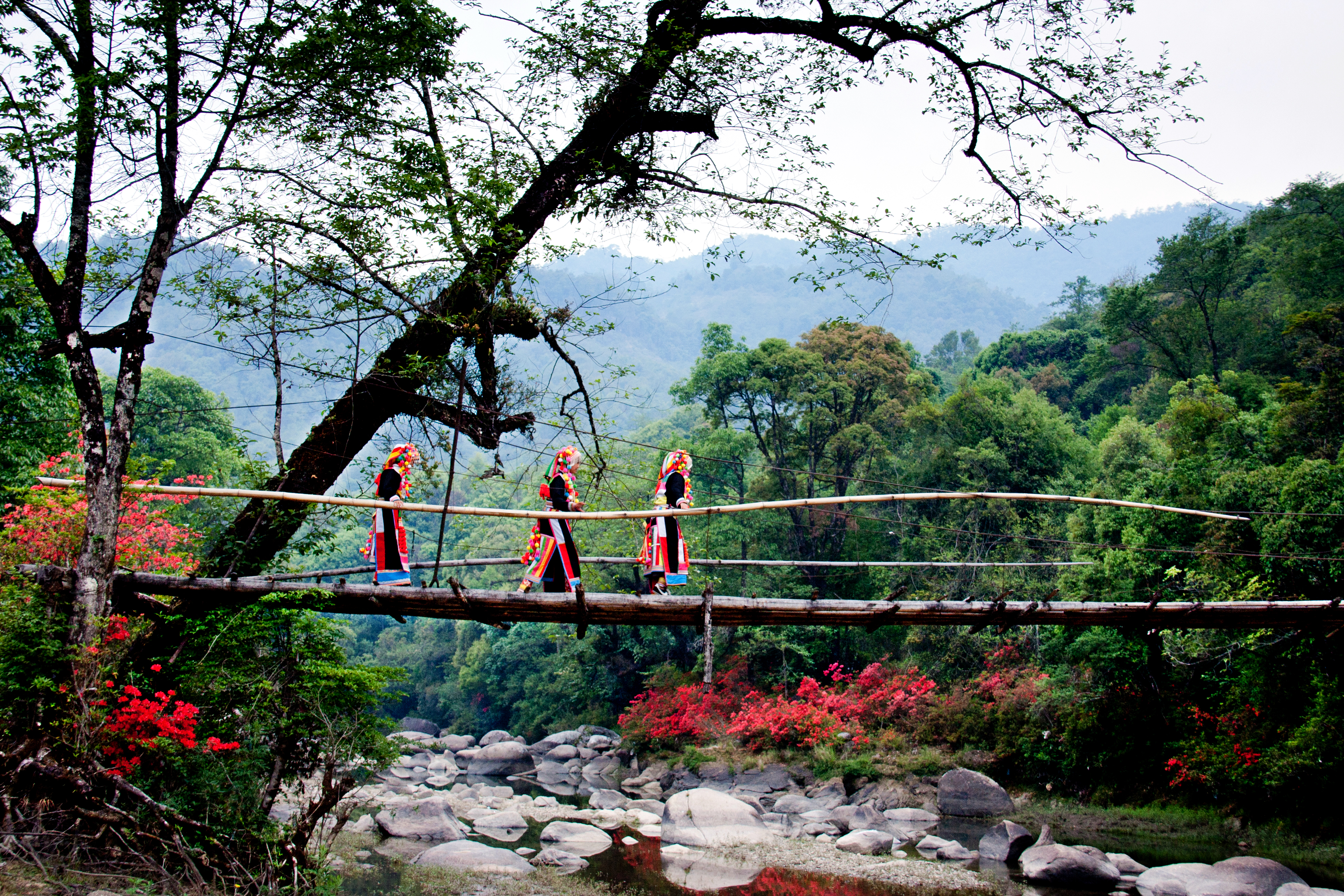 盈江苏典乡 五朵“团结花” 绘就幸福新画卷8.jpg