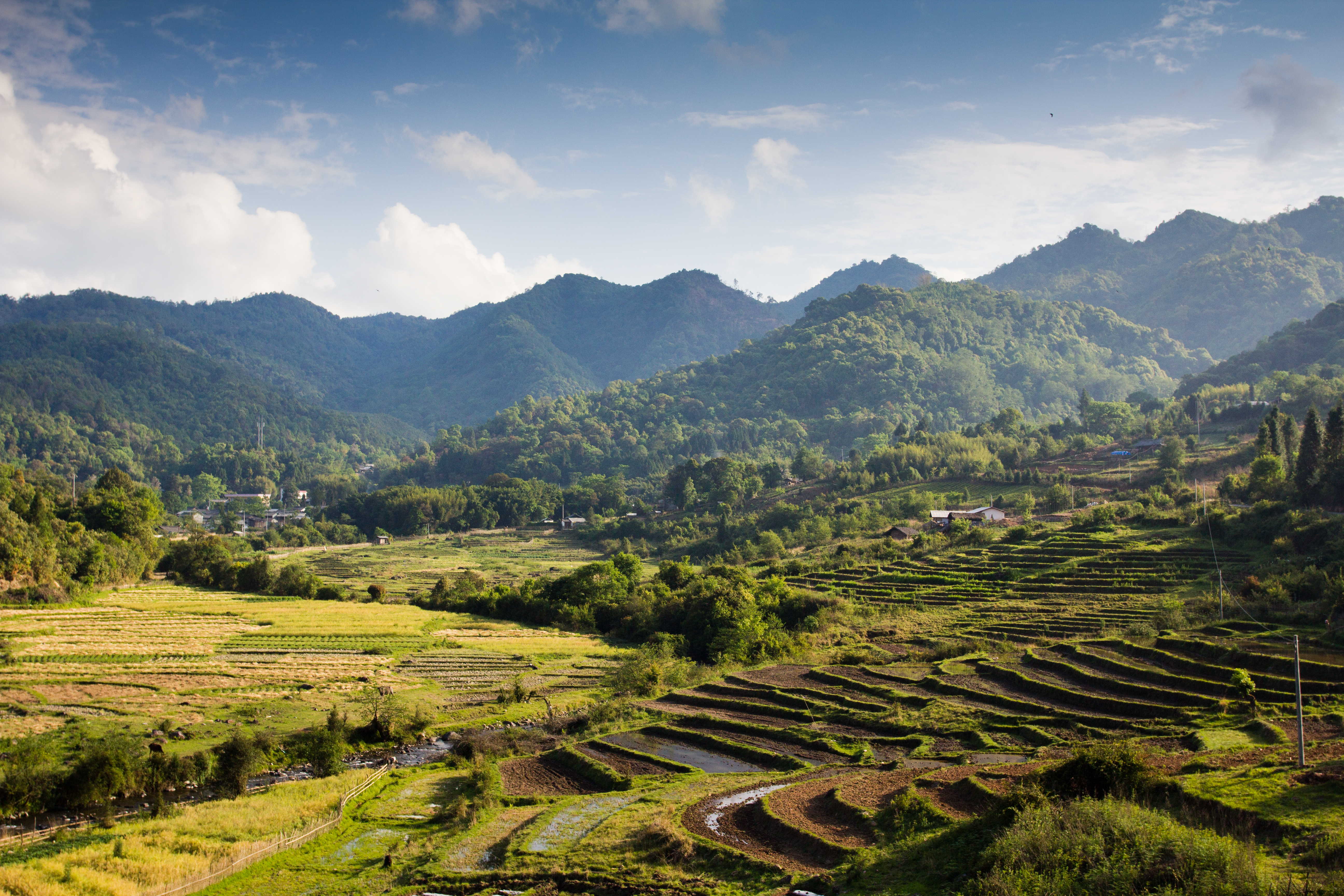 盈江苏典乡 五朵“团结花” 绘就幸福新画卷9.jpg