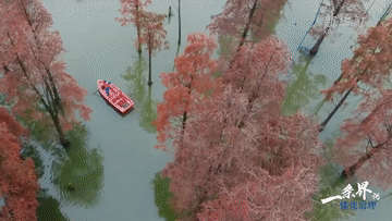 时代答卷｜长三角知道答案