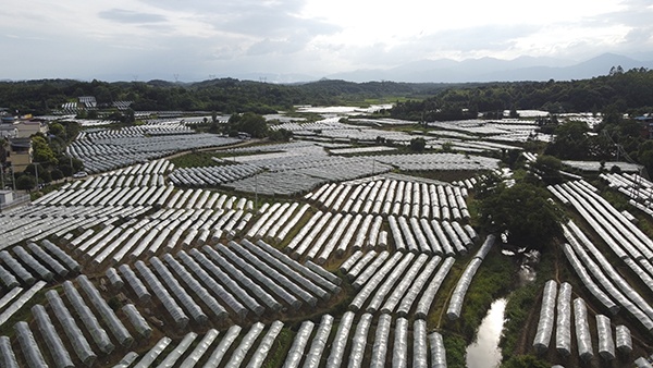 长征路上新青年丨全州“80后”村支书：在乡村振兴路上继承发扬湘江战役精神