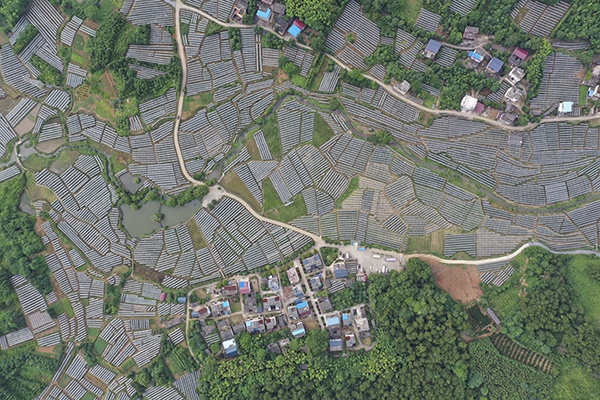 长征路上新青年丨全州“80后”村支书：在乡村振兴路上继承发扬湘江战役精神