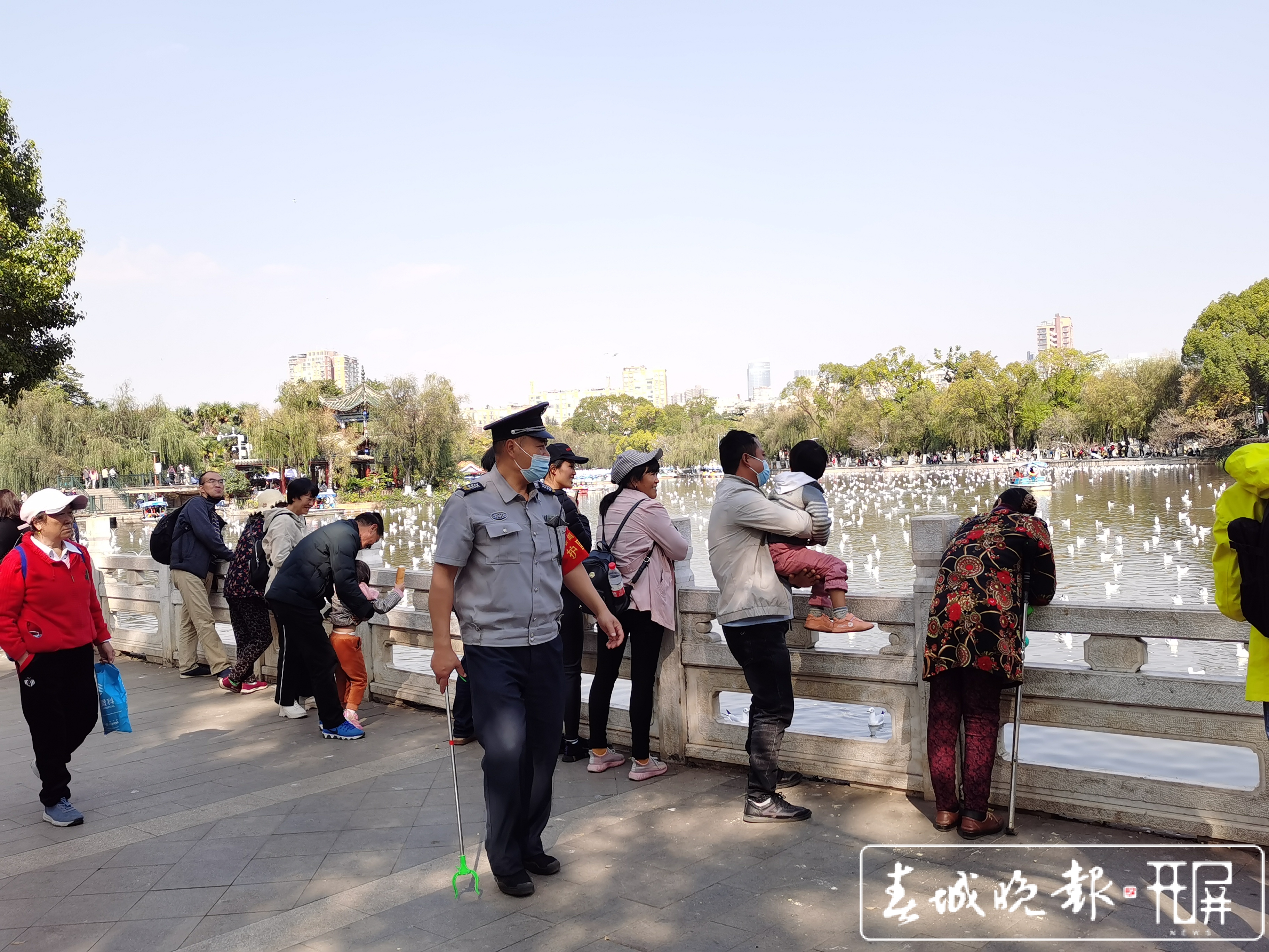 周末一起到翠湖喂海鸥6 (2).jpg