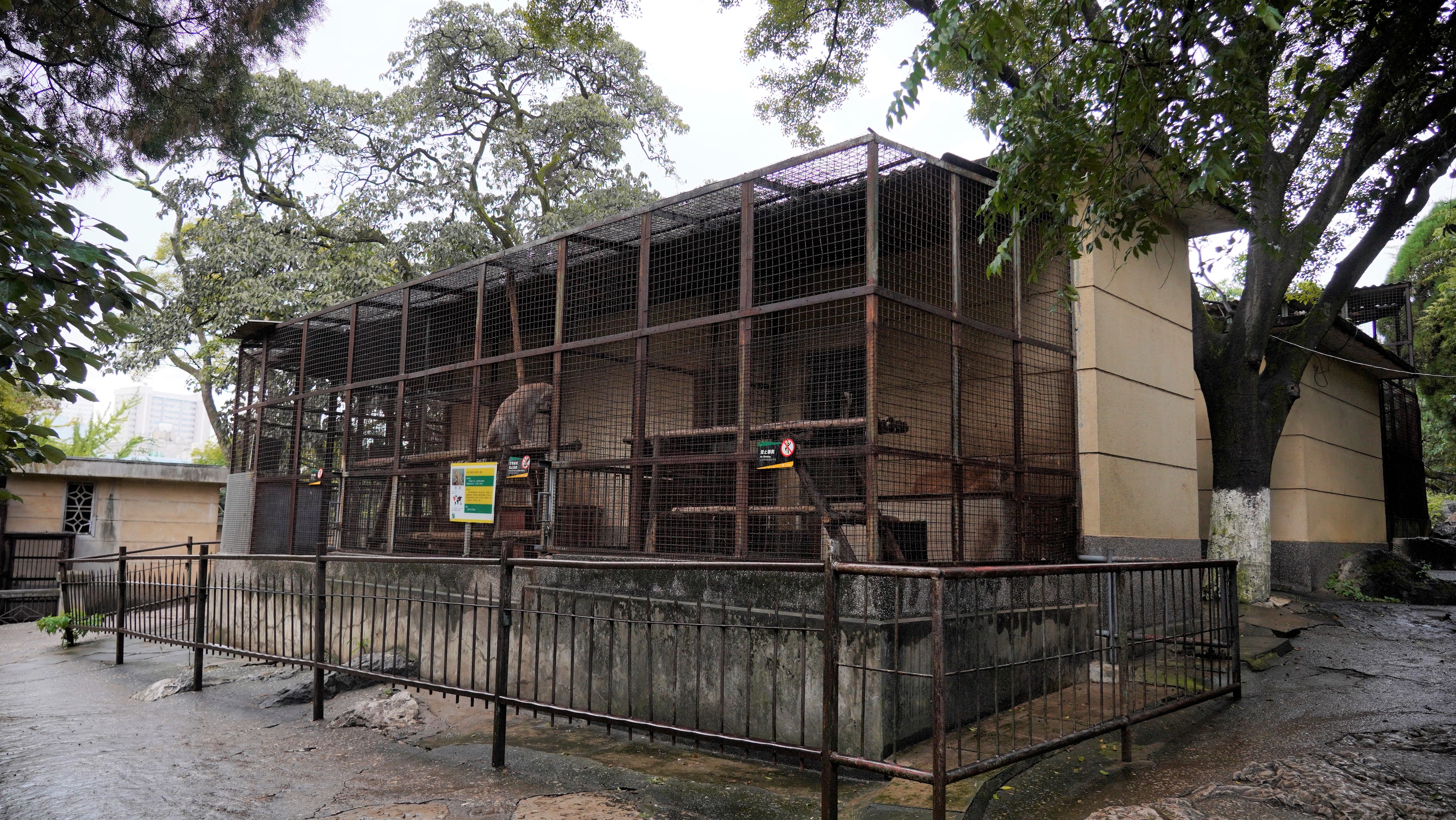 昆明动物园——动物宝宝们的“蜗居”面积变了吗？（夏体雷 实习生 丁炀 摄影报道）