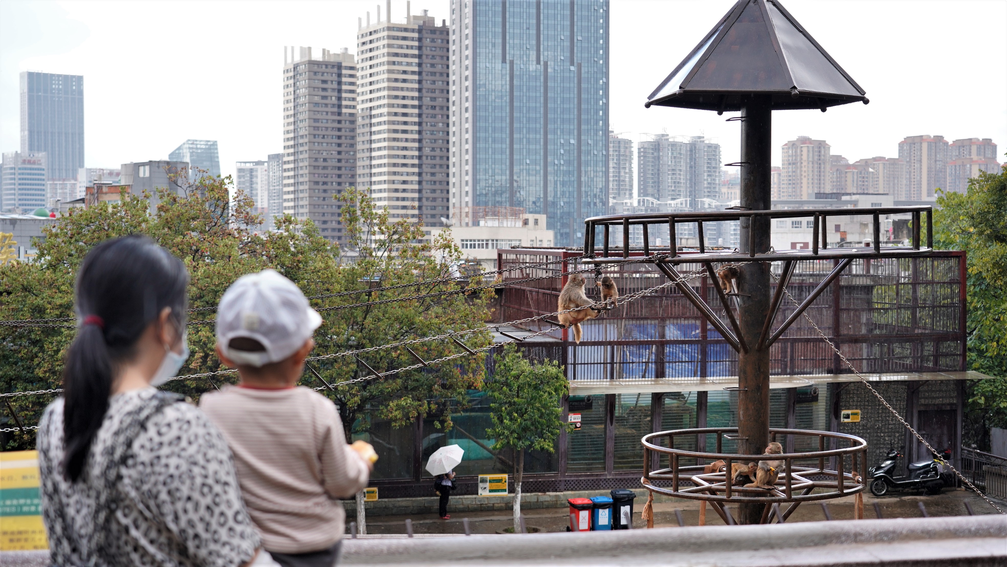 昆明动物园——动物宝宝们的“蜗居”面积变了吗？（夏体雷 实习生 丁炀 摄影报道）