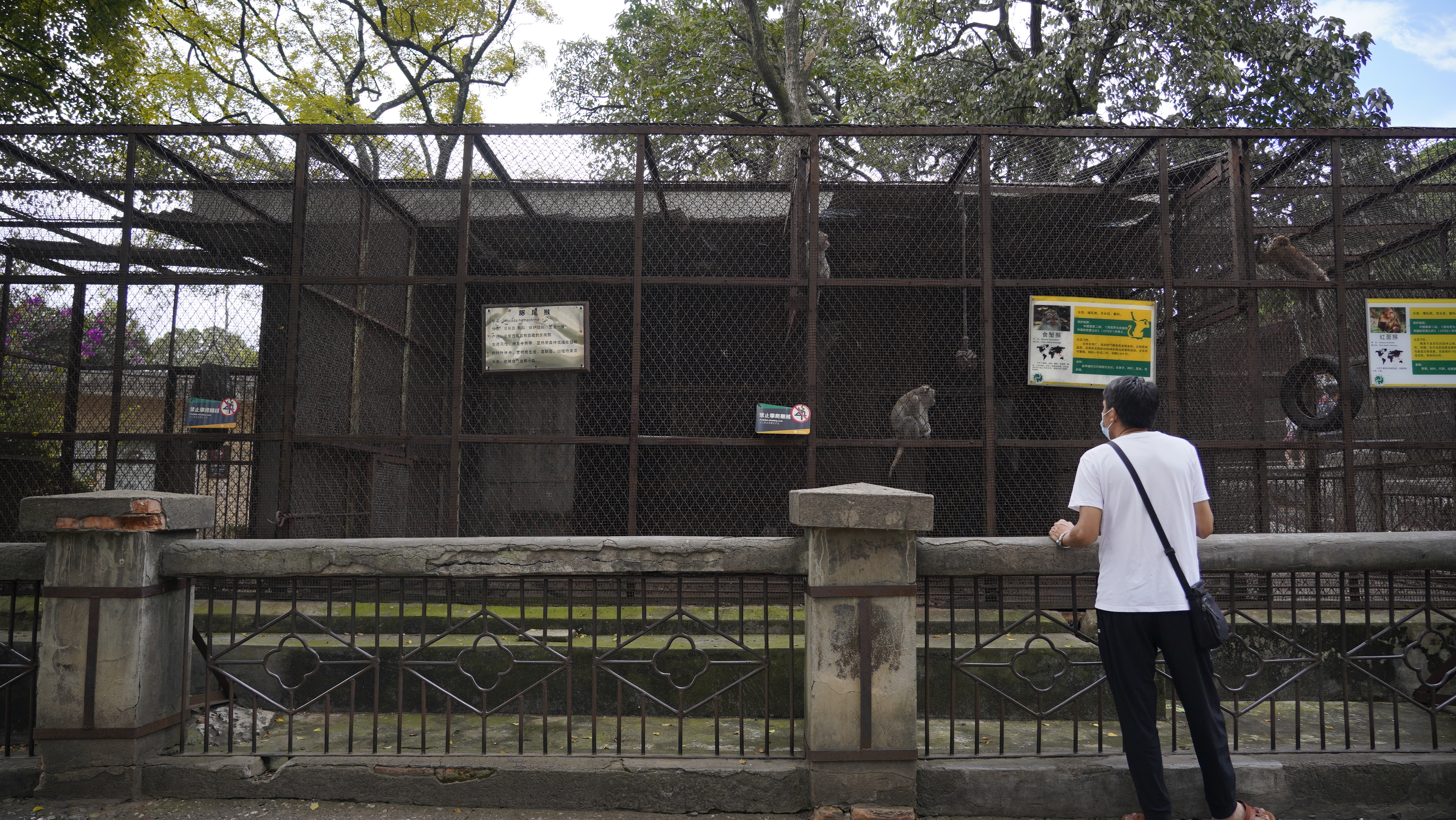 昆明动物园——动物宝宝们的“蜗居”面积变了吗？（夏体雷 实习生 丁炀 摄影报道）