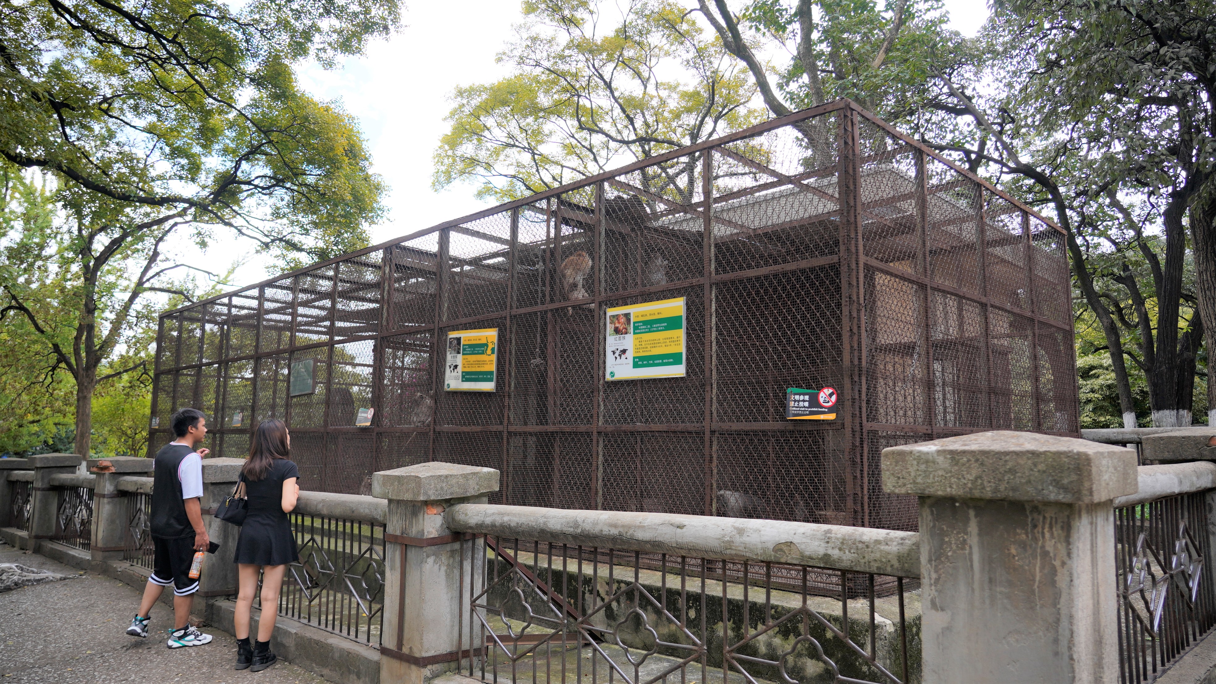 昆明动物园——动物宝宝们的“蜗居”面积变了吗？（夏体雷 实习生 丁炀 摄影报道）