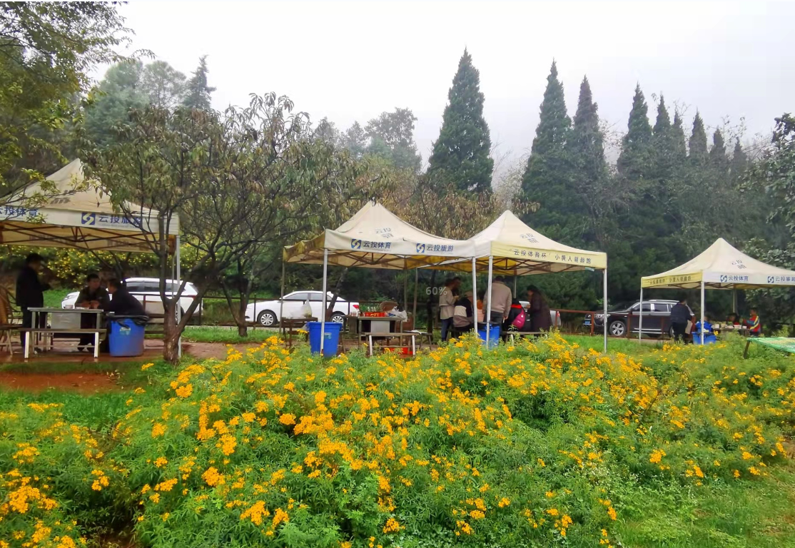 公园烧烤让昆明美丽的环境很受伤