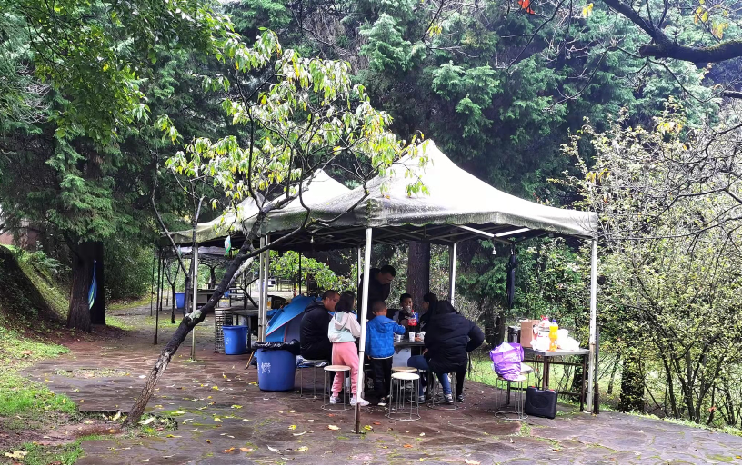 公园烧烤让昆明美丽的环境很受伤