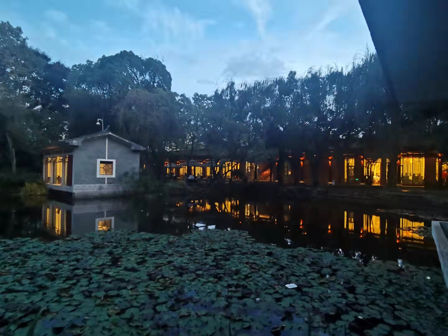 开屏观察｜大型餐厅露天烧烤藏身西华园！市民：休闲公园变了“味”（开屏新闻记者夏体雷摄）