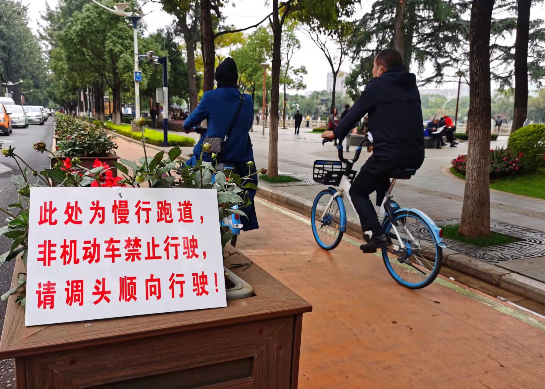 开屏观察｜免费开放19年，翠湖公园成了“美食公园”和“广场舞池”？（记者夏体雷摄影报道）