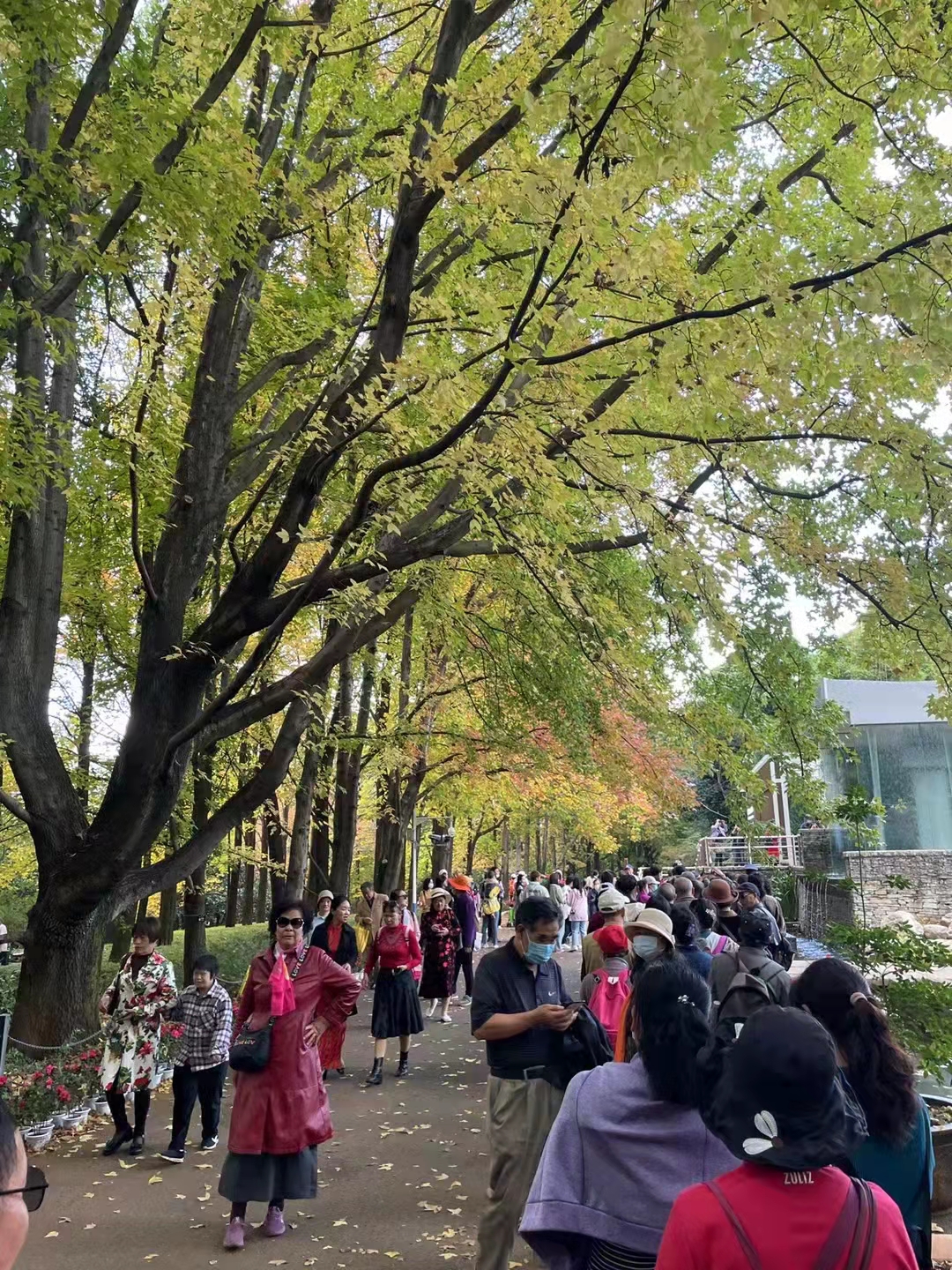 昆明植物园“扶荔宫”（供图）