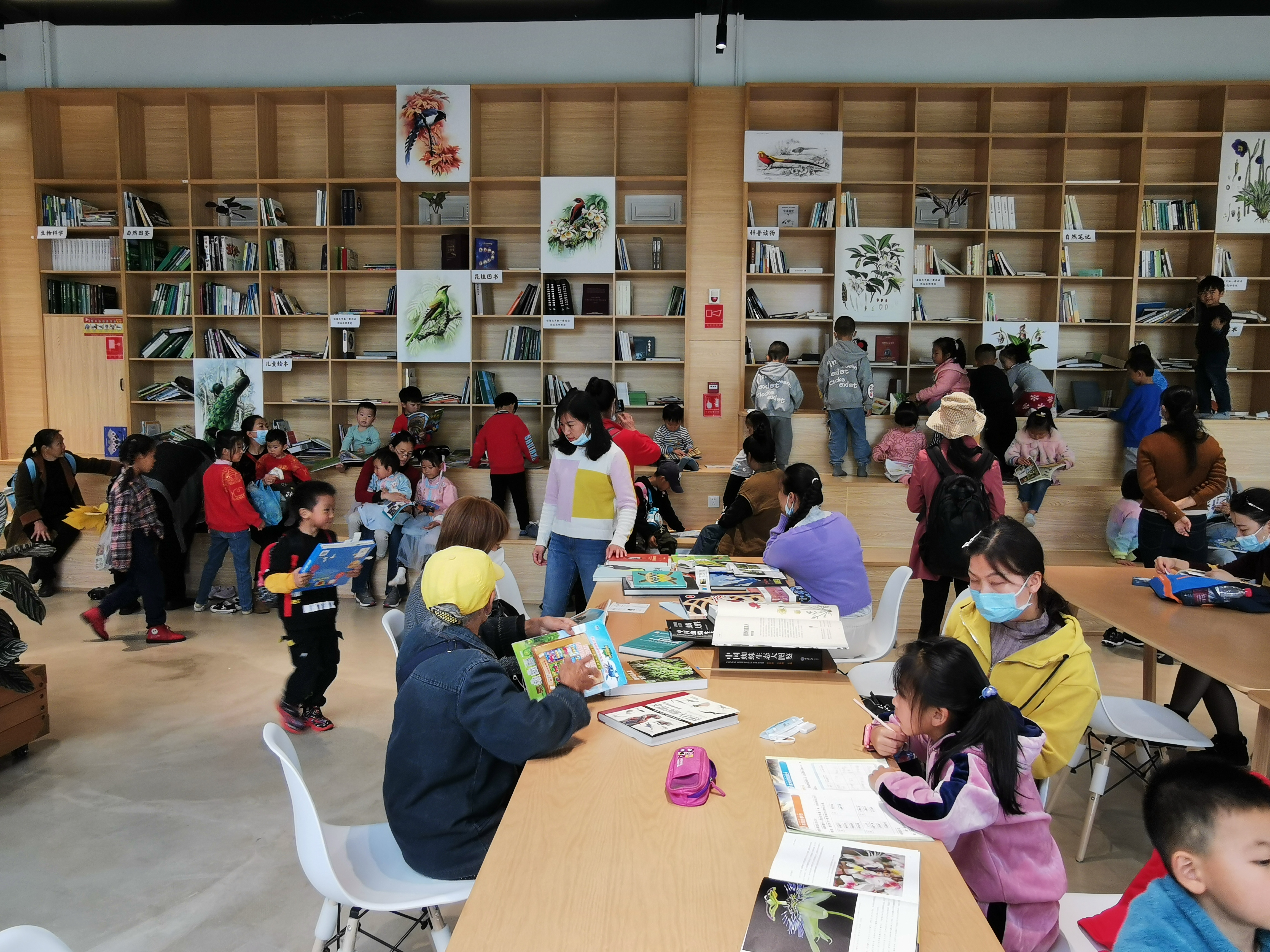 昆明植物园“扶荔宫”（供图）