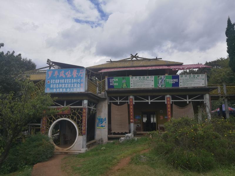 黑龙潭公园古树调查（春城晚报-开屏新闻记者 夏体雷 实习生 丁炀 摄）