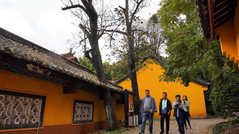 黑龙潭公园古树调查（春城晚报-开屏新闻记者 夏体雷 实习生 丁炀 摄）