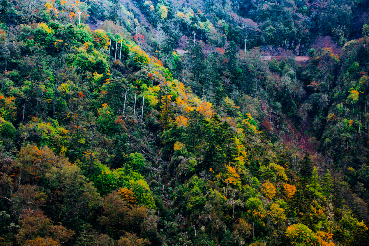 丽江老君山（片由@余武龙 提供）