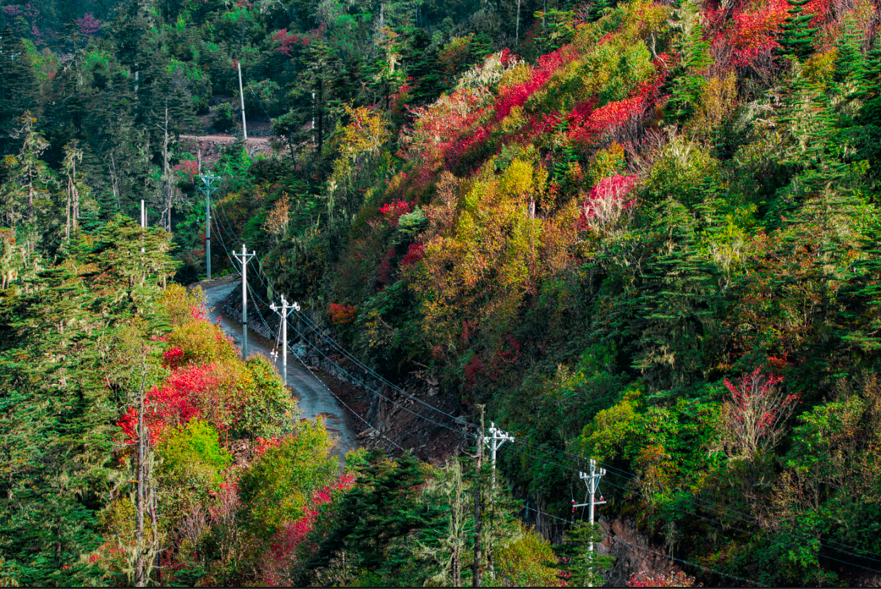 丽江老君山（片由@余武龙 提供）