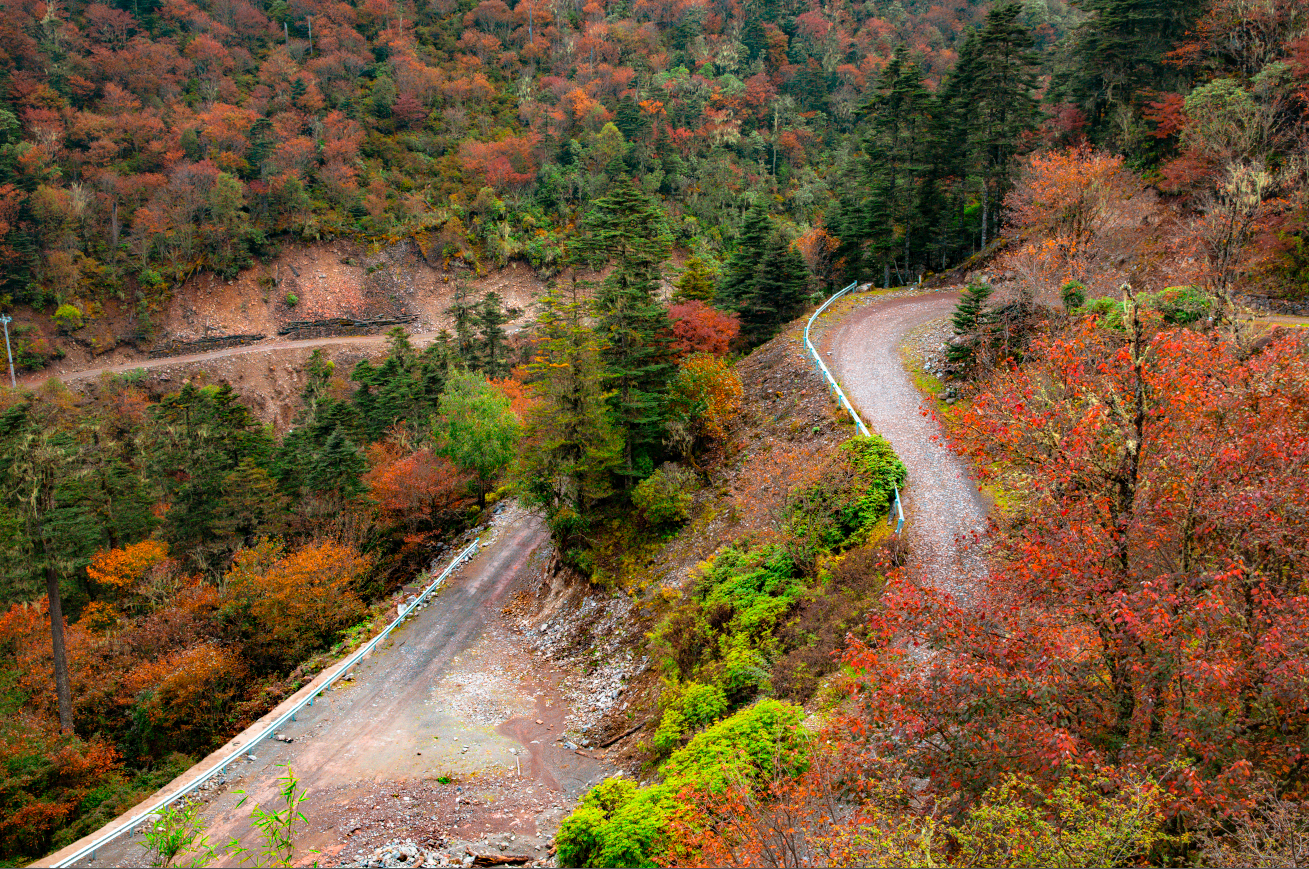 丽江老君山（片由@余武龙 提供）