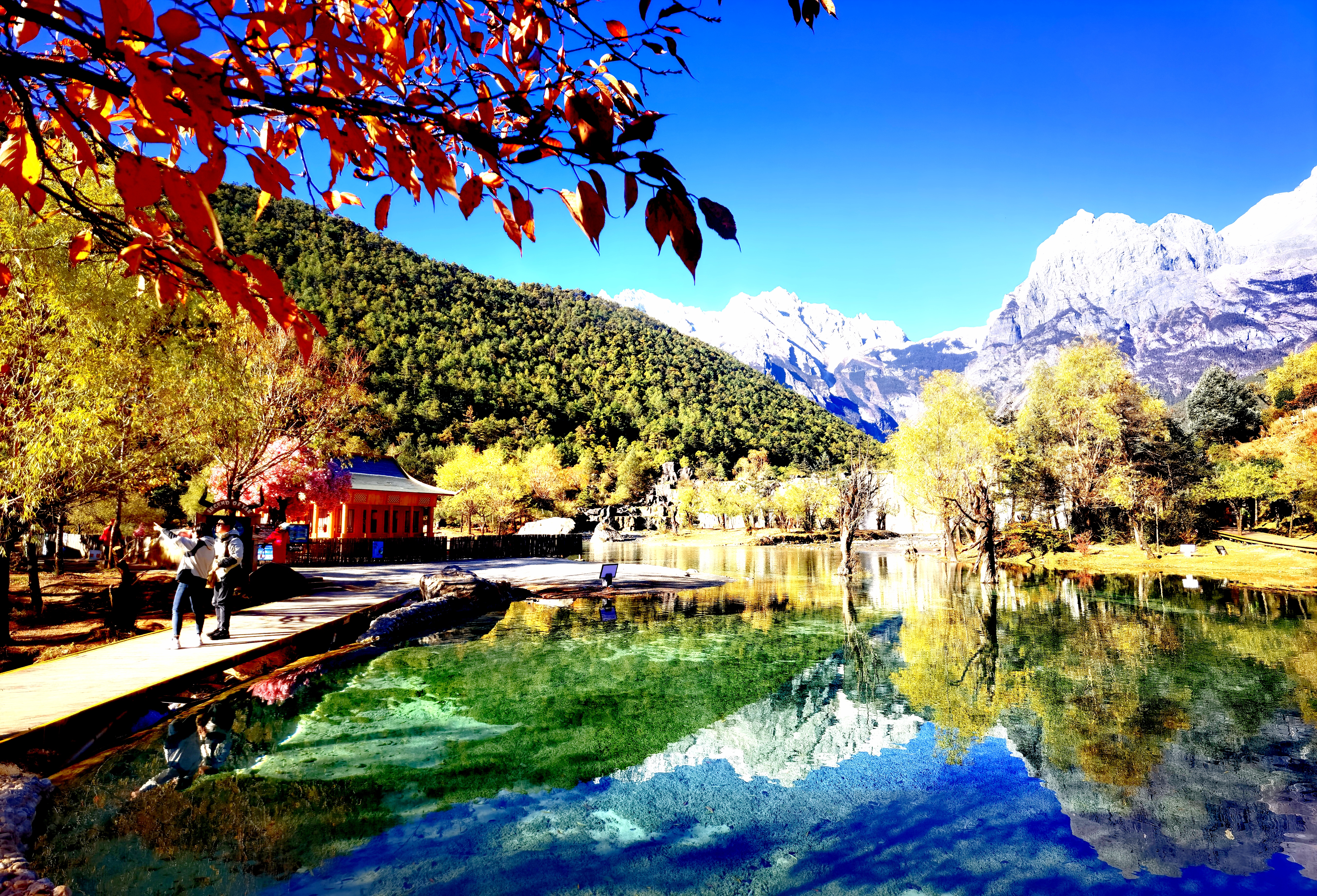 丽江玉龙雪山（图片由@赵子荣 提供）