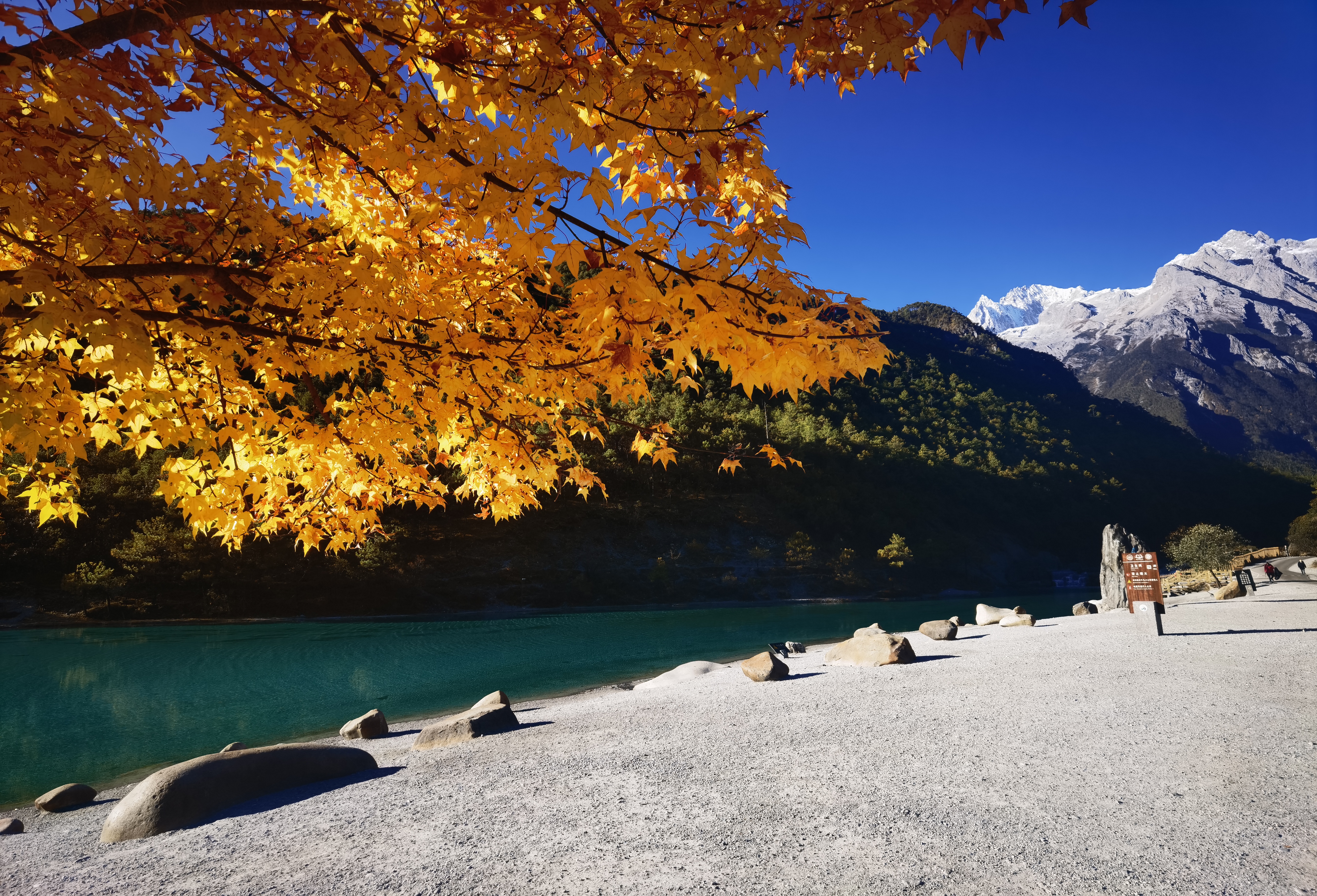 丽江玉龙雪山（图片由@赵子荣 提供）