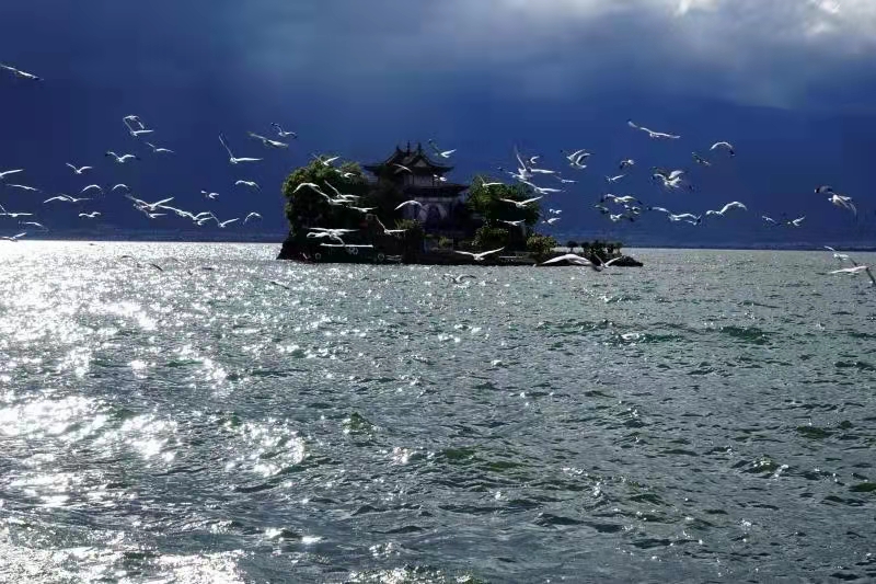 小普陀 施作模 摄(11960595)-20211104195746.jpg