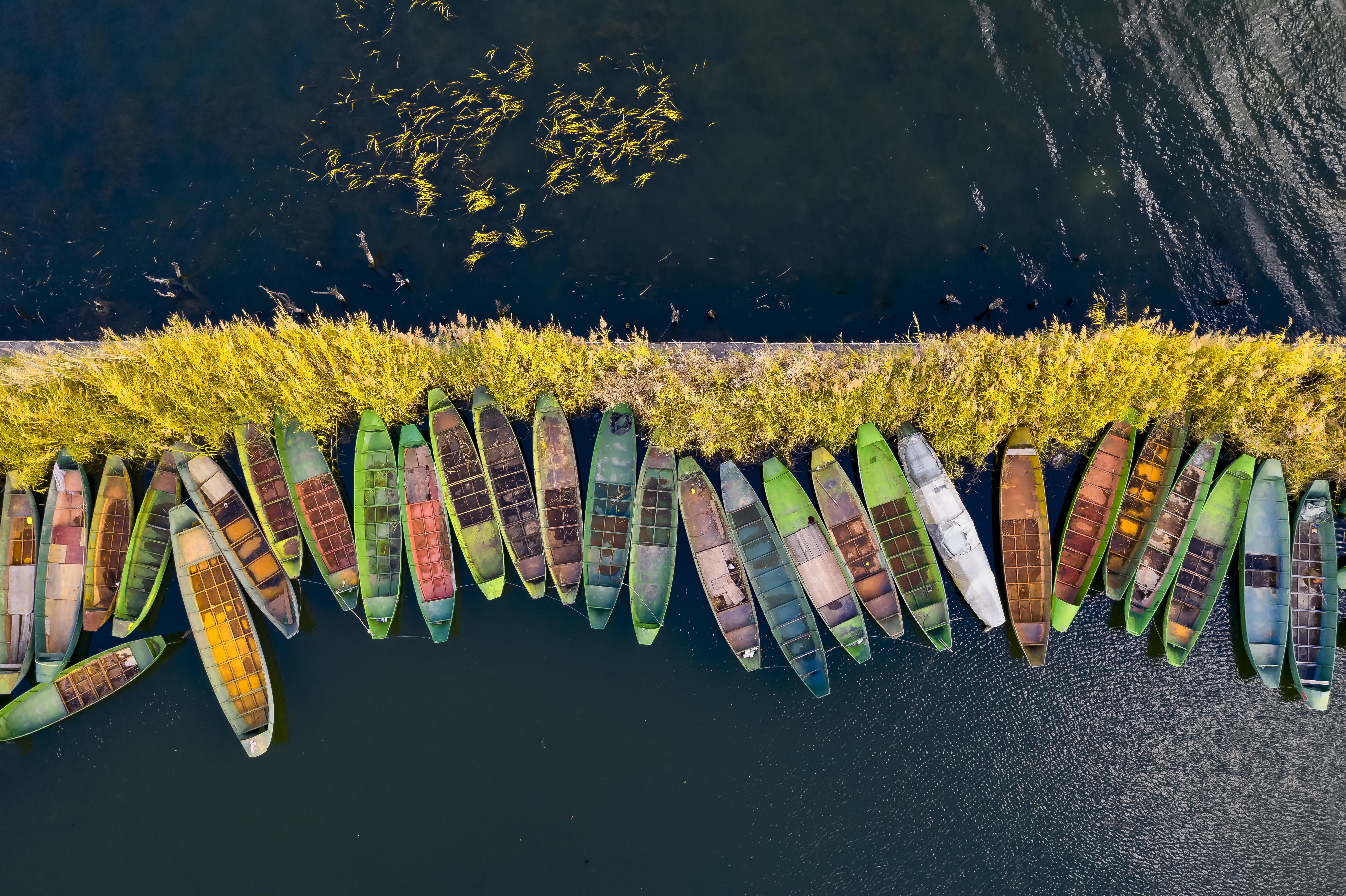 洱海 赵子忠摄(11960594)-20211104195748.png