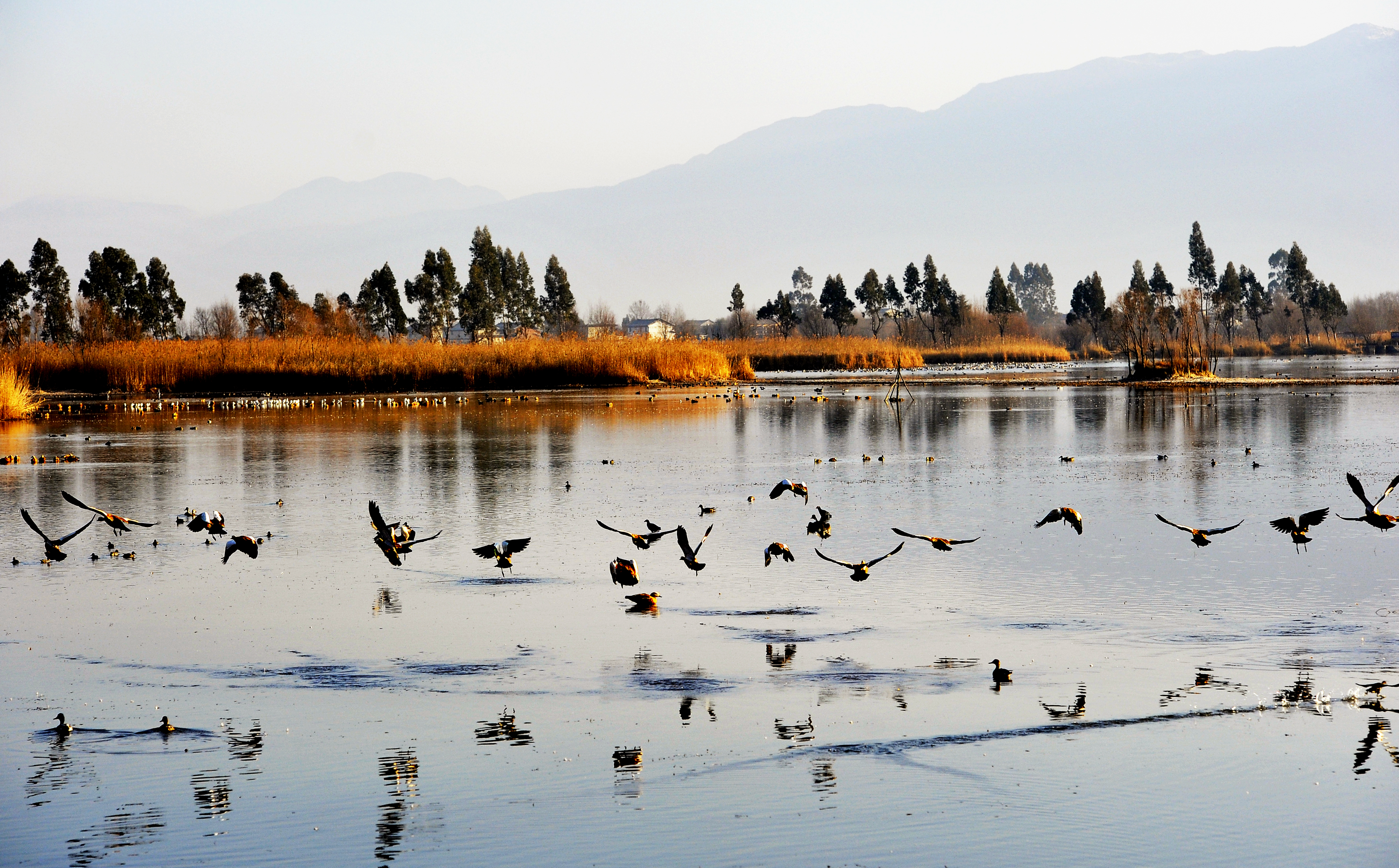 剑湖 林海摄2(11960593)-20211104195750.jpg